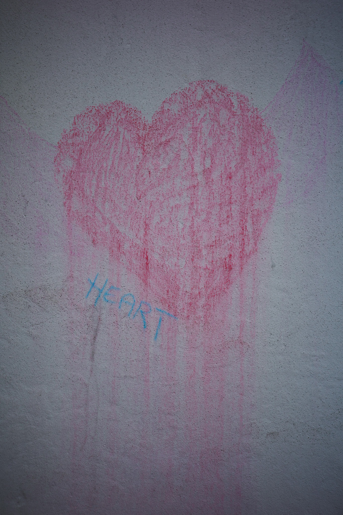 vienna / november 2022