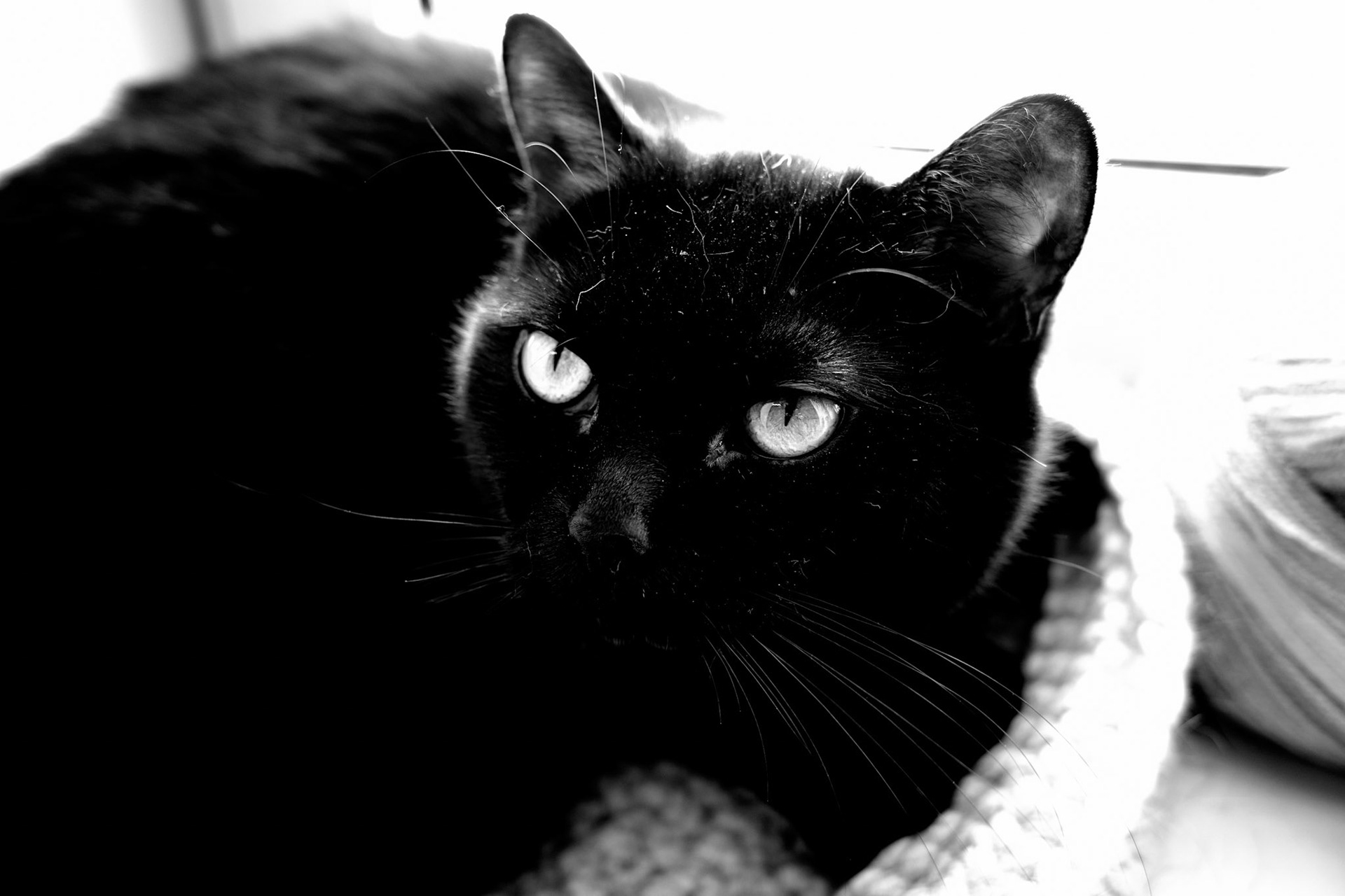 Nora / November 2022