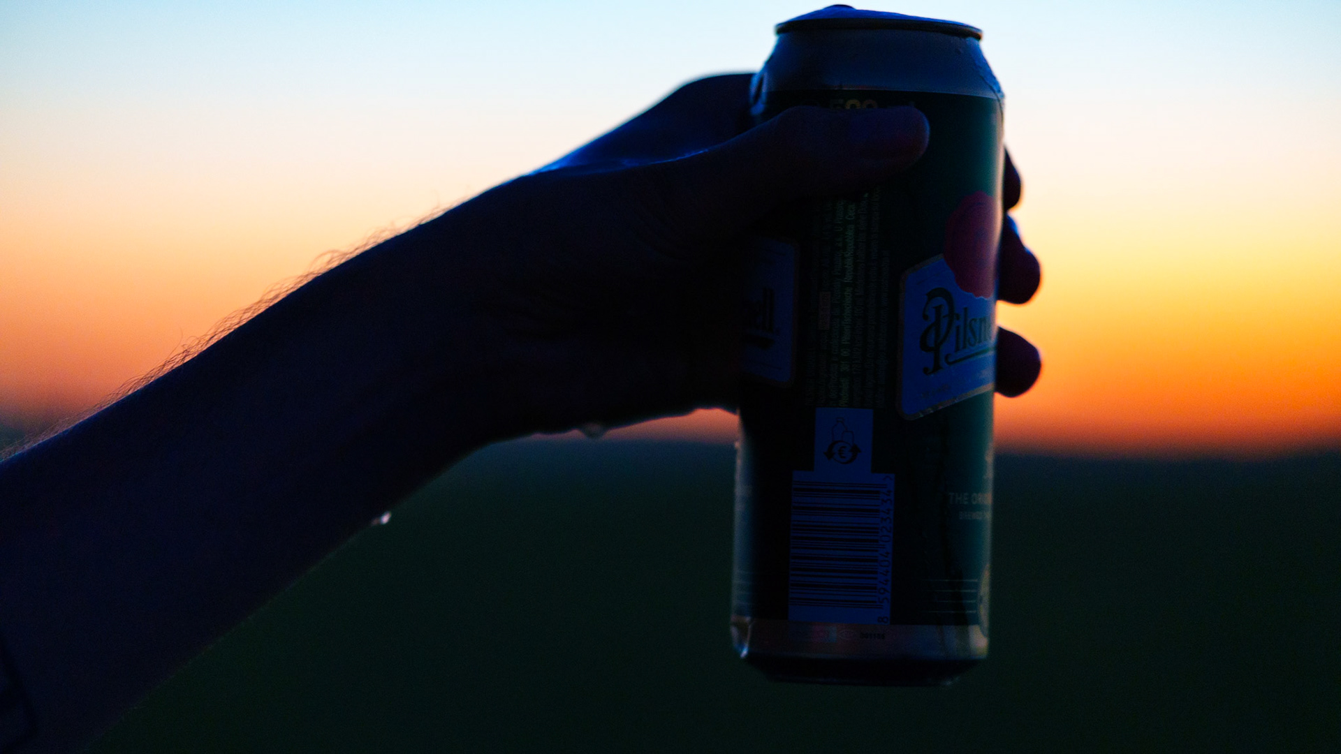 cheers / august 2026