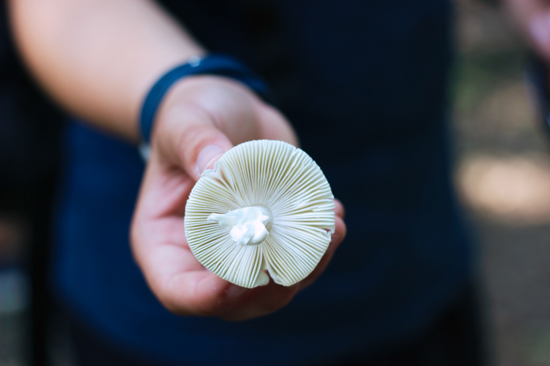 Selina Hammel - Canon EOS 100D / Canon EF 50mm f1.8