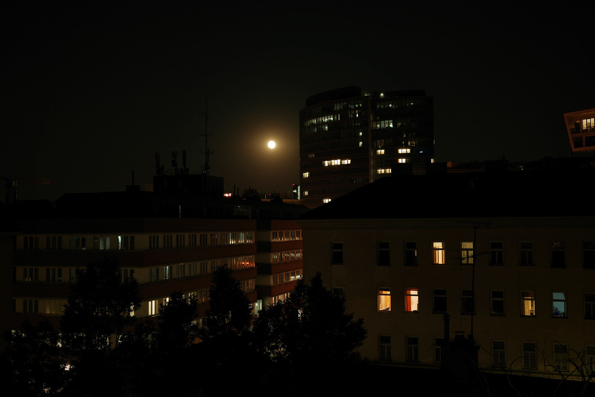 vienna / july 2024