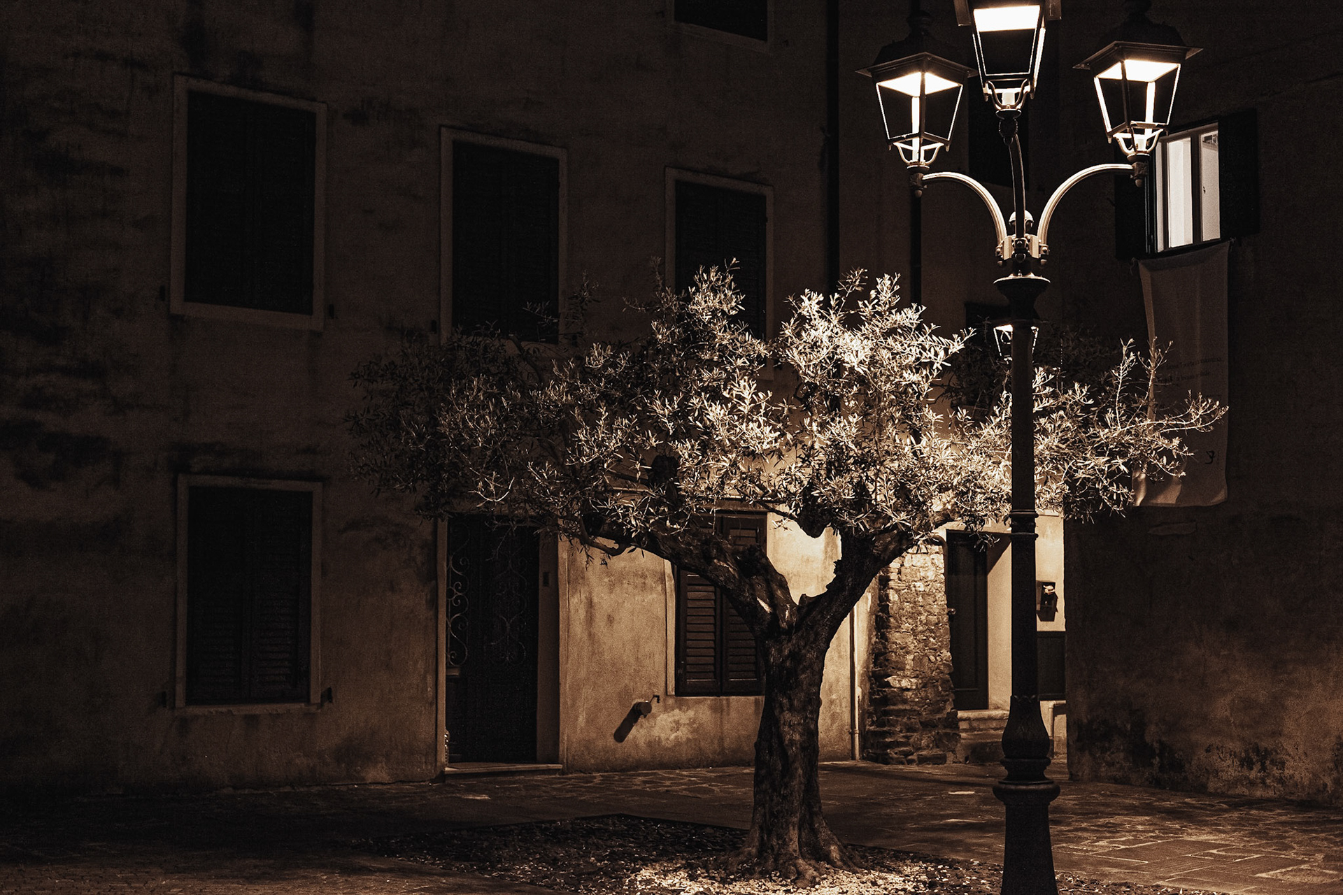 grado / may 2021
