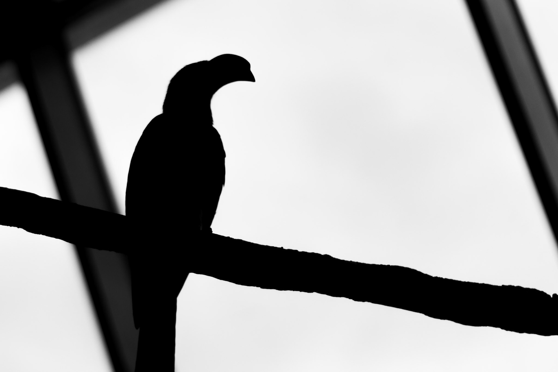 Selina Hammel - Canon EOS 100D / Canon EF 50mm f1.8