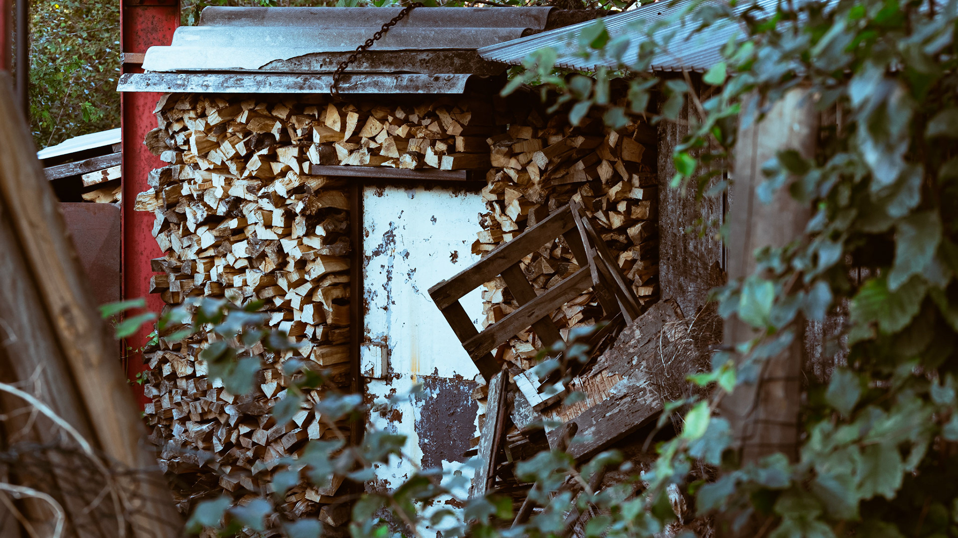 vienna / september 2021