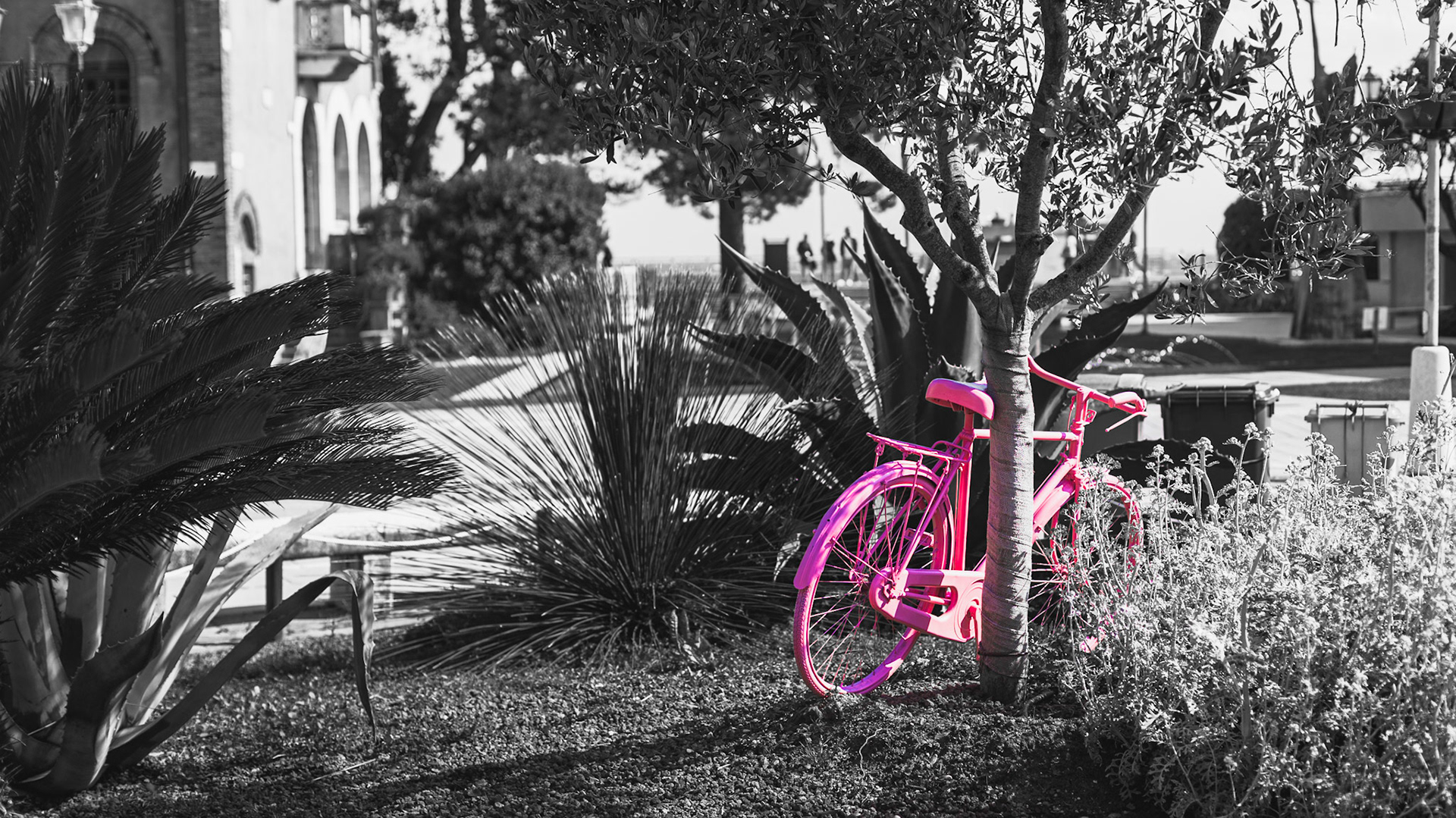 "pink bike" / may 2021