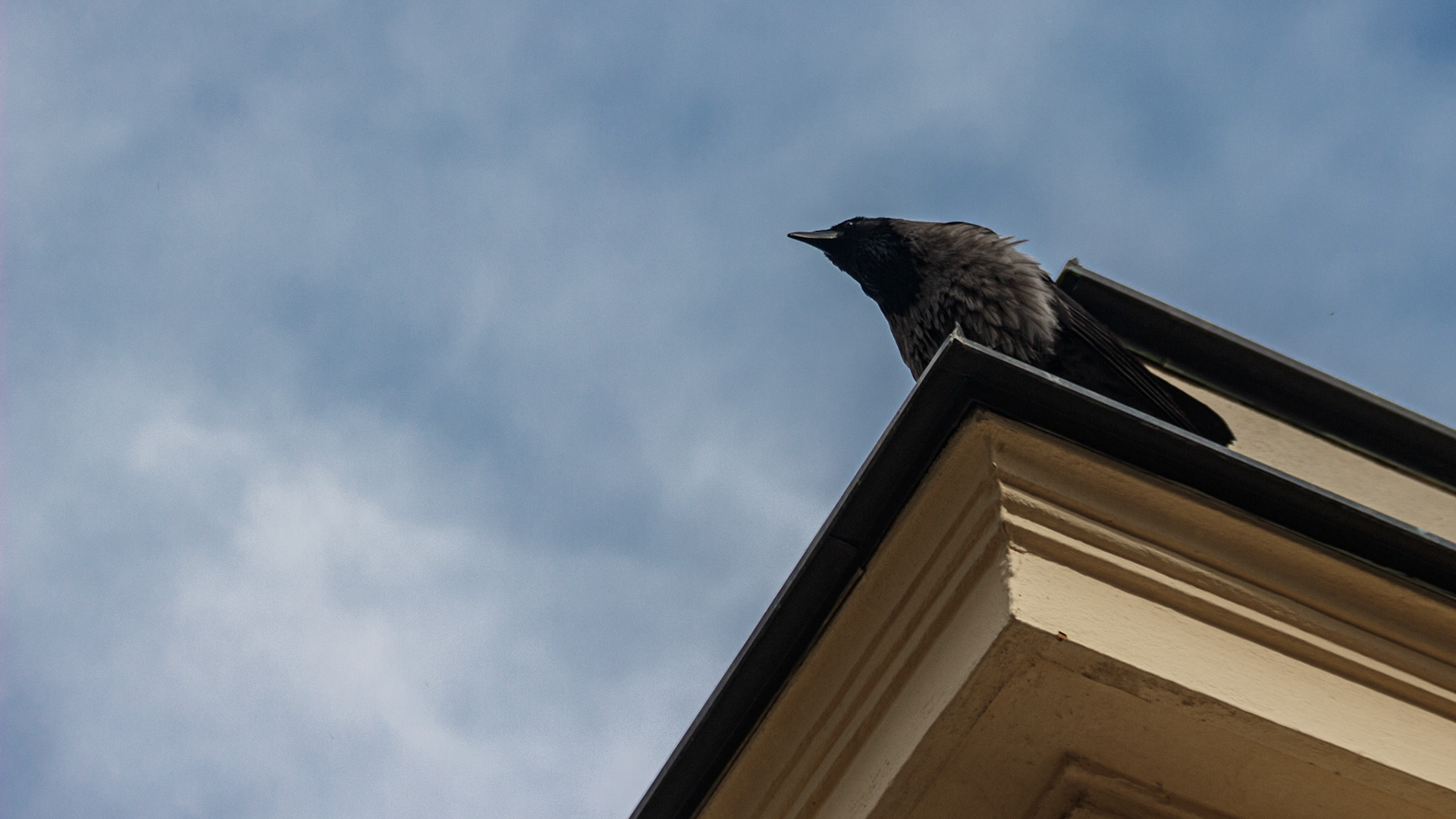 selina hammel - Canon EOS 100D / Canon EF 70-300