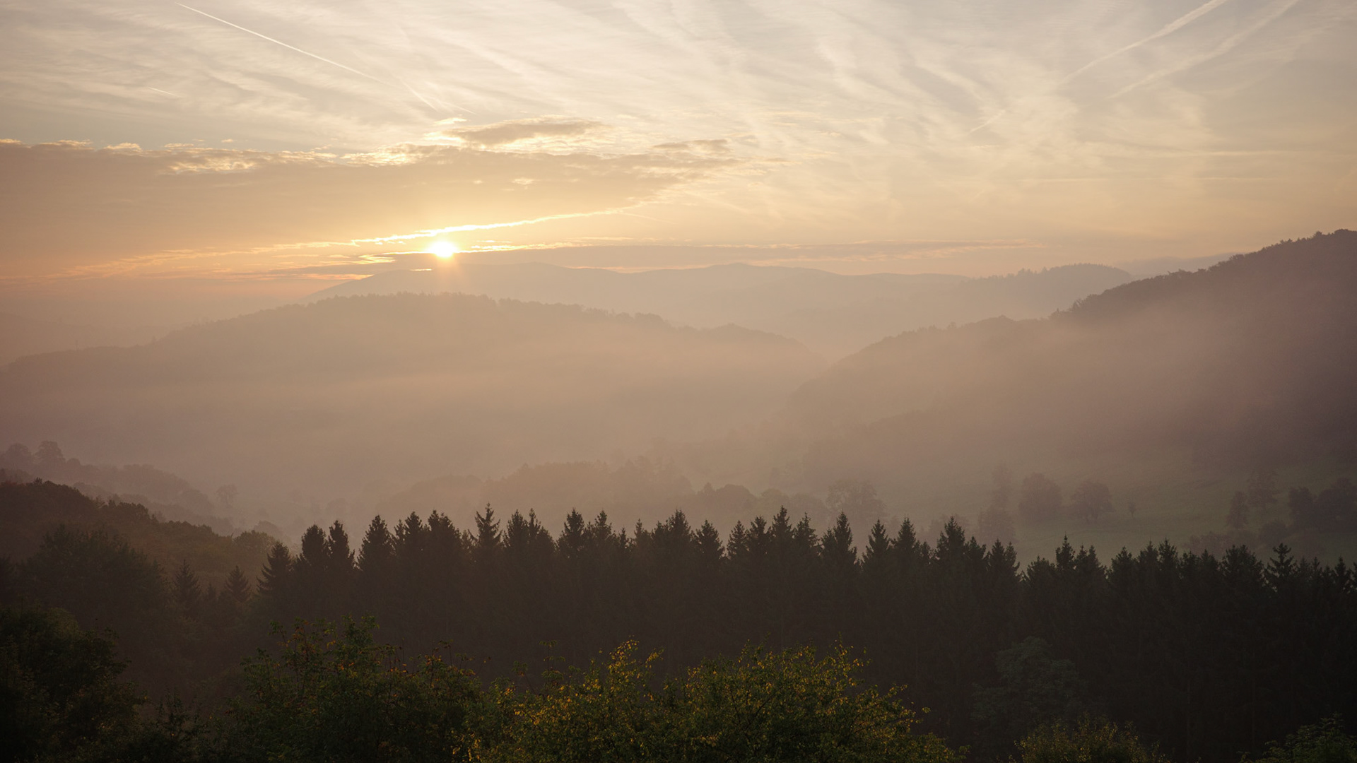 "foggy valley" / october 2023