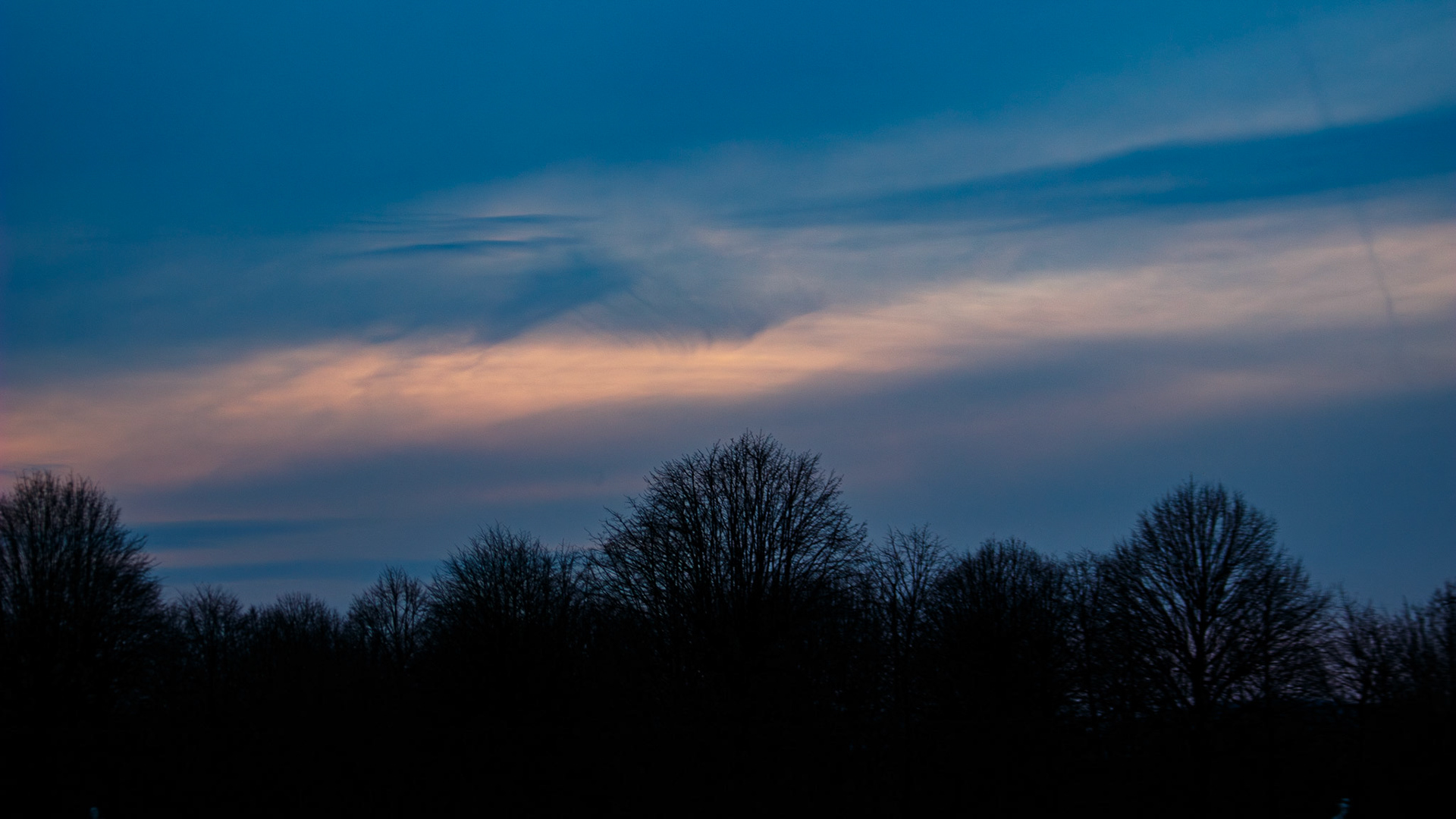 selina hammel - Canon EOS 100D / Canon EF 70-300