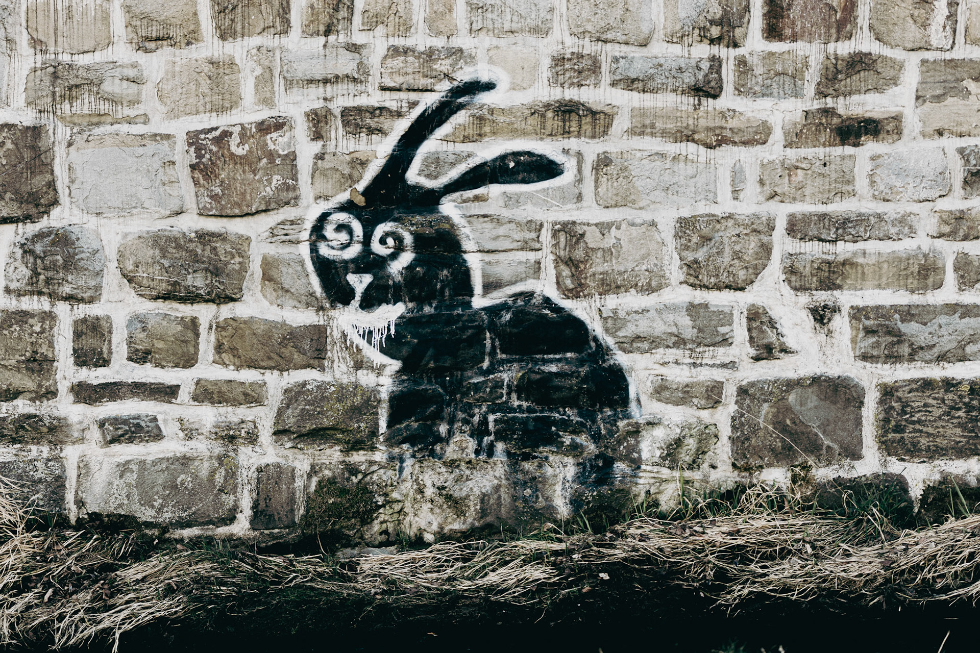 vienna / march 2022