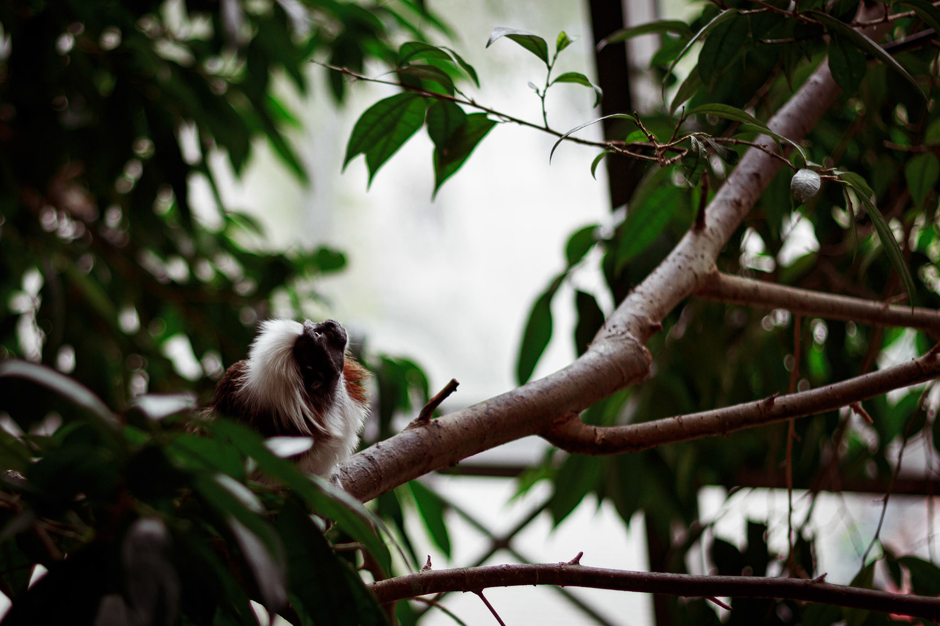 Selina Hammel - Canon EOS 100D / Canon EF 50mm f1.8