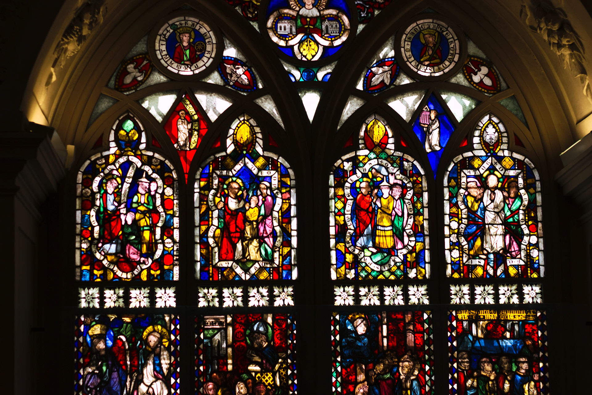 Selina Hammel - Canon EOS 100D / Canon EF 50mm f1.8