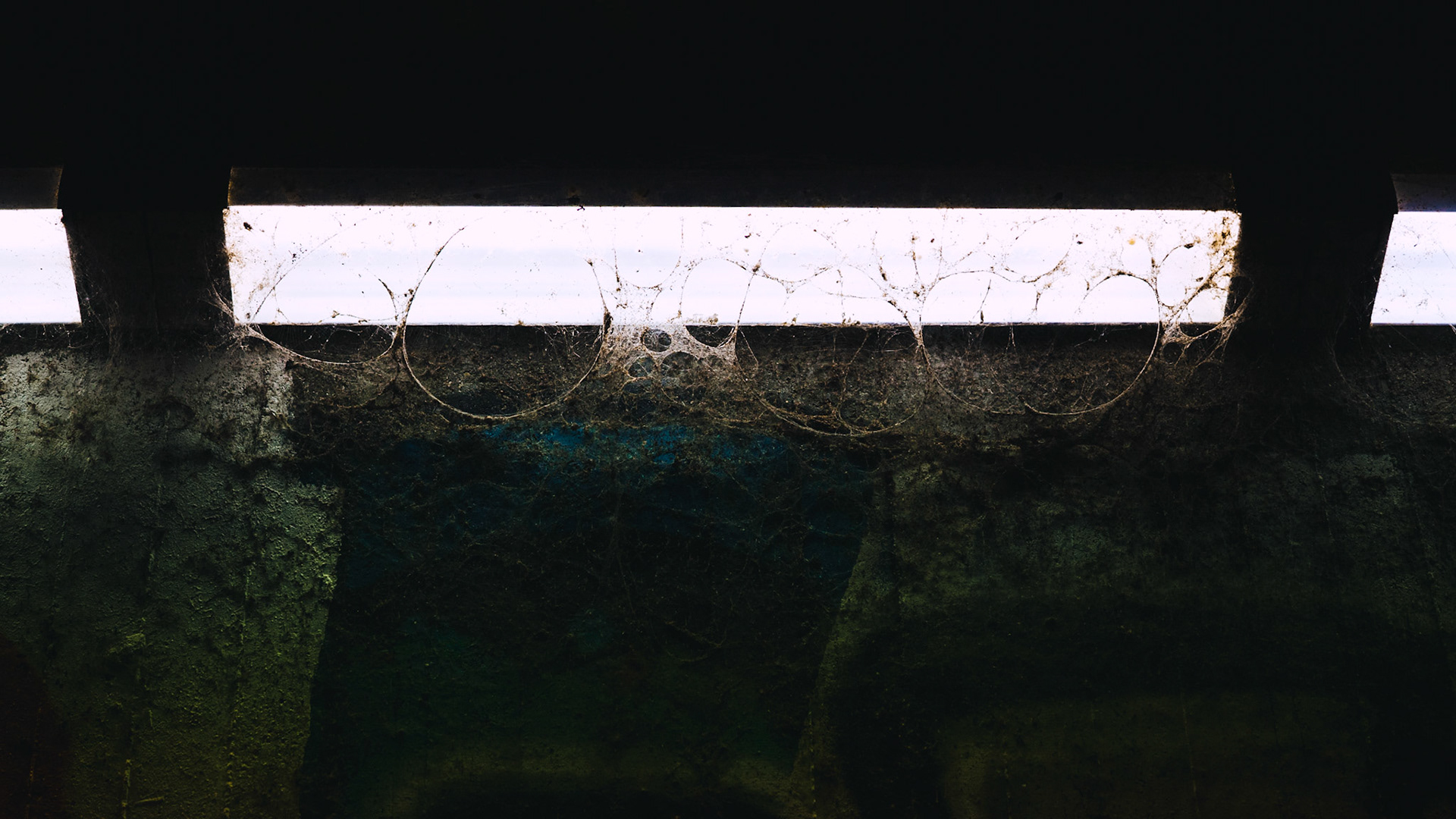 "webbed" - vienna / january 2022