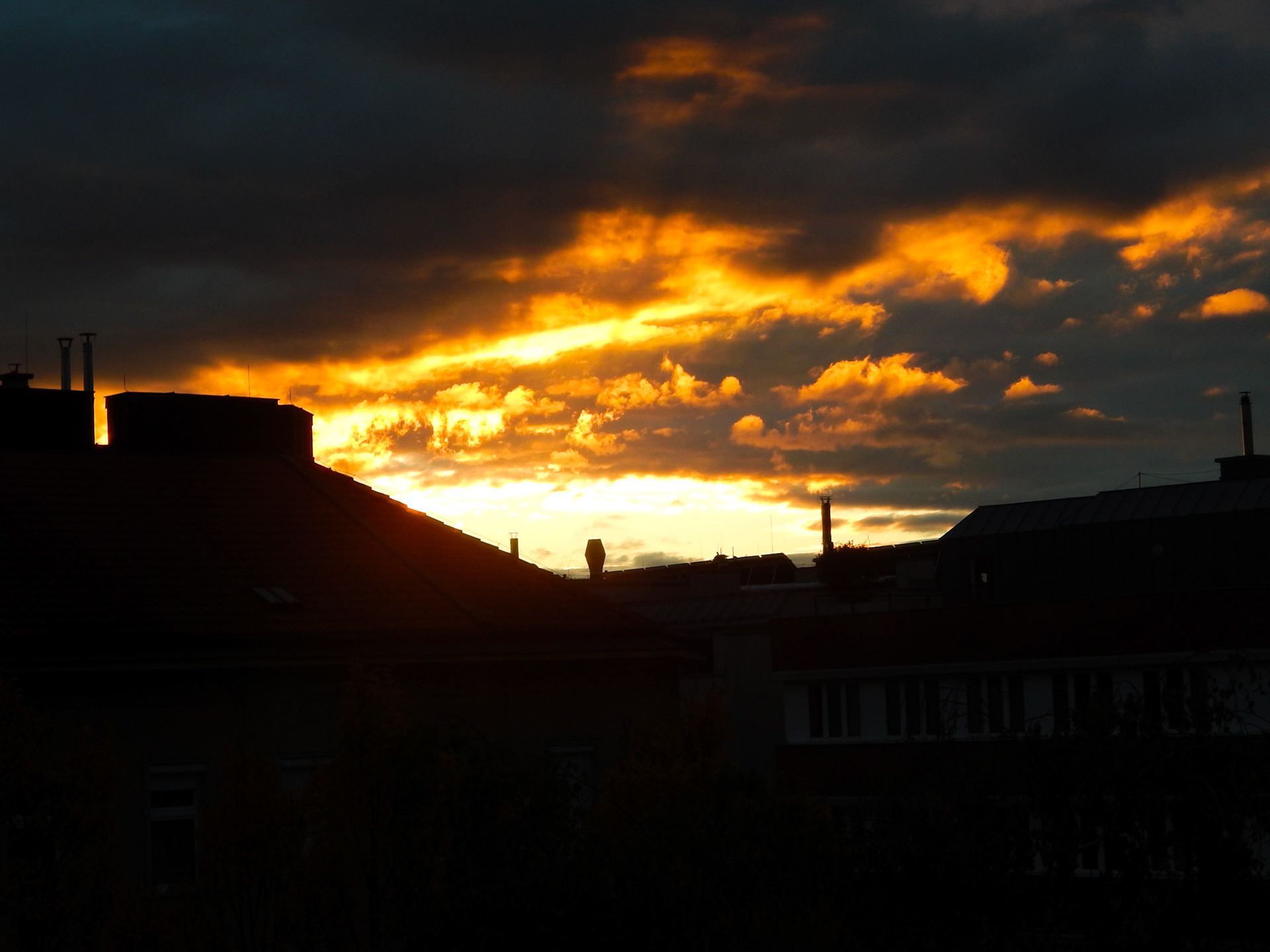 Selina Hammel - Nikon Coolpix L820