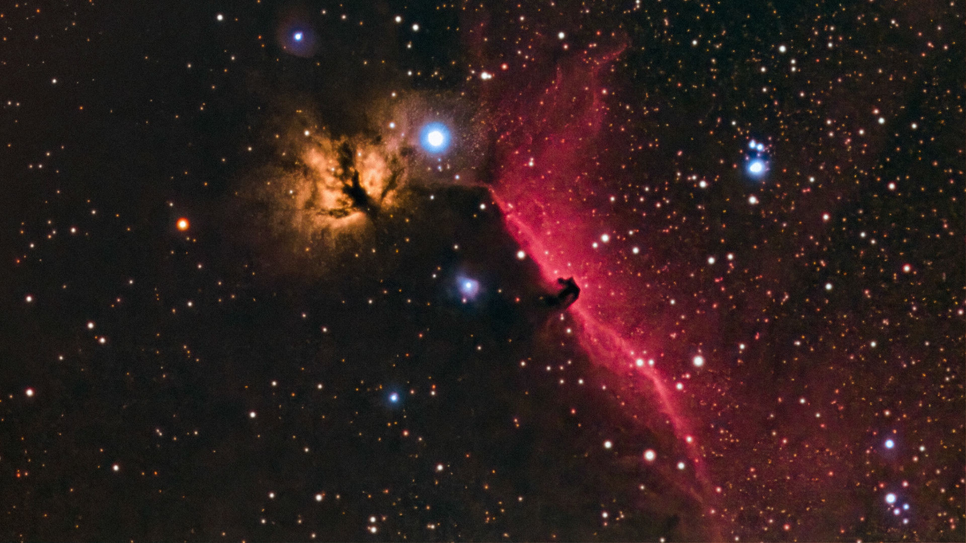 flaming tree and horsehead nebula / January 2021