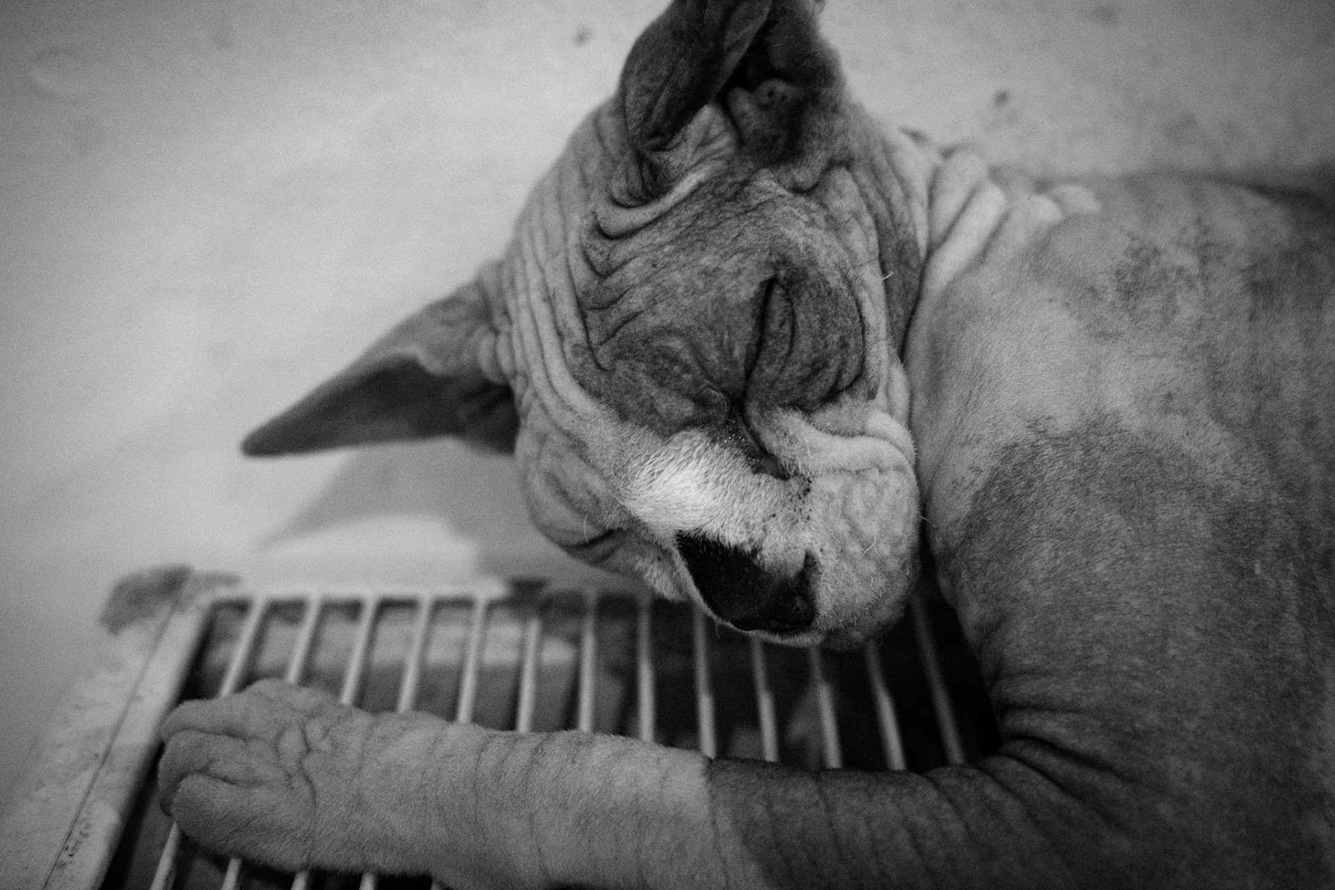 kira / november 2024