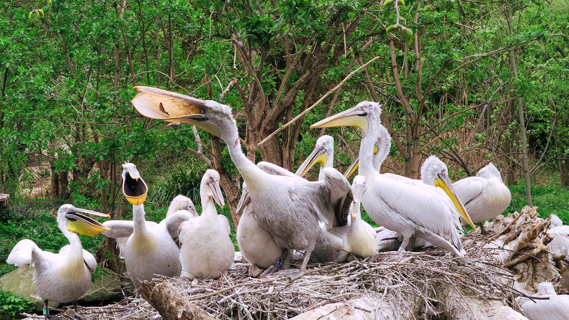 selina hammel - Olympus E-M10 / Lumix G Vario 12-35