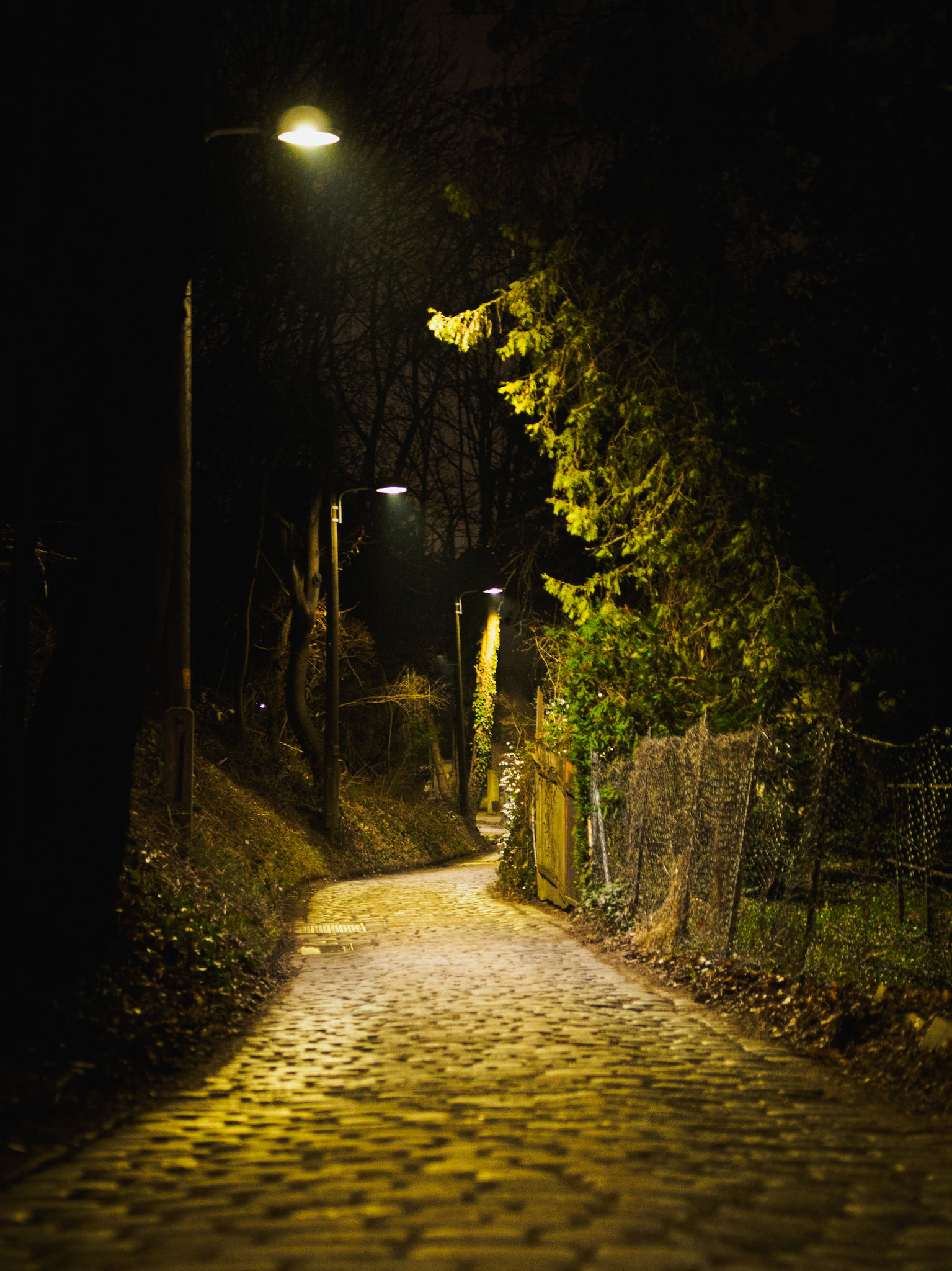 vienna / february 2024