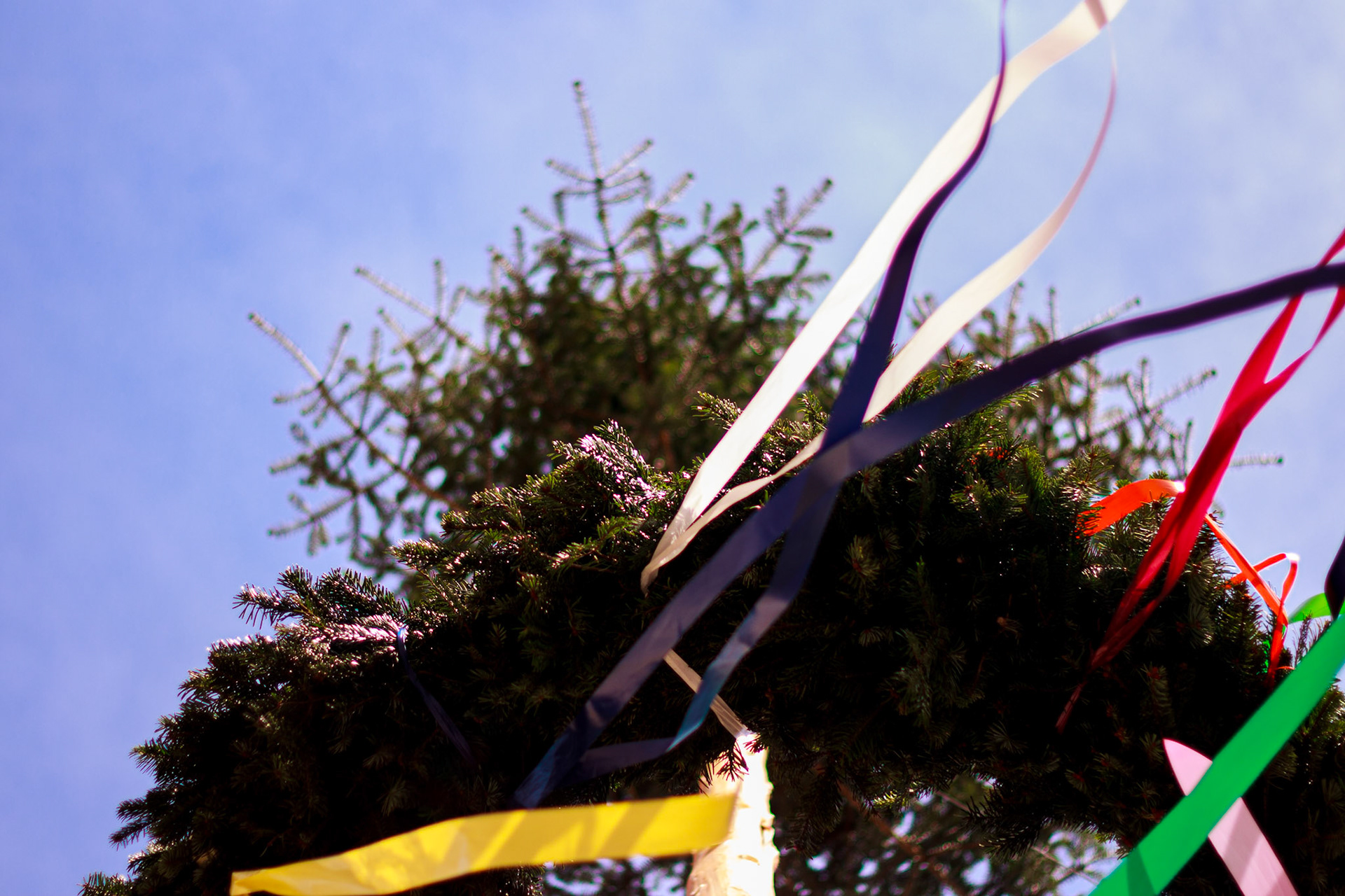 Selina Hammel - Canon EOS 600D / Canon EF 50mm f1.8