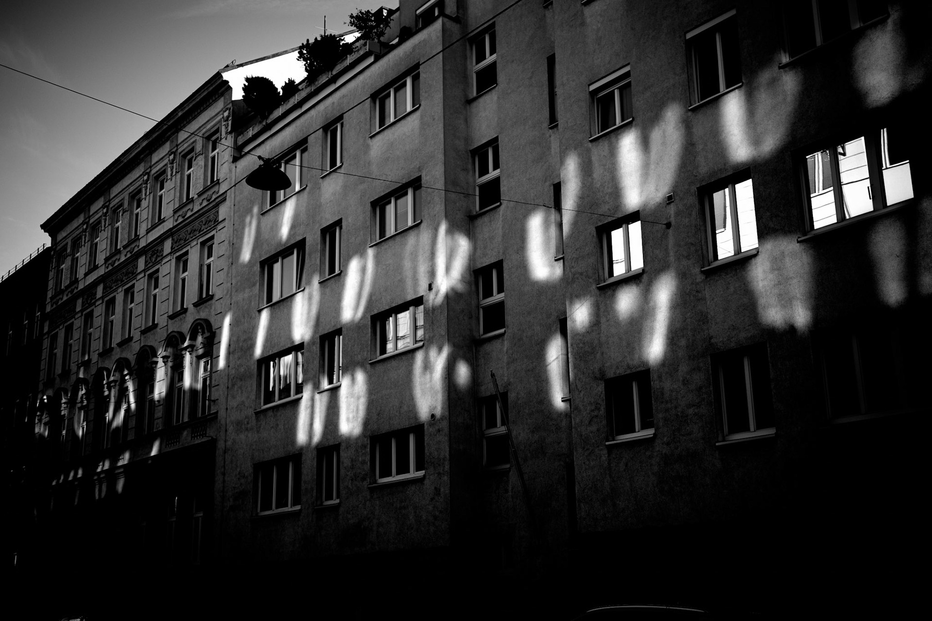 vienna / october 2024