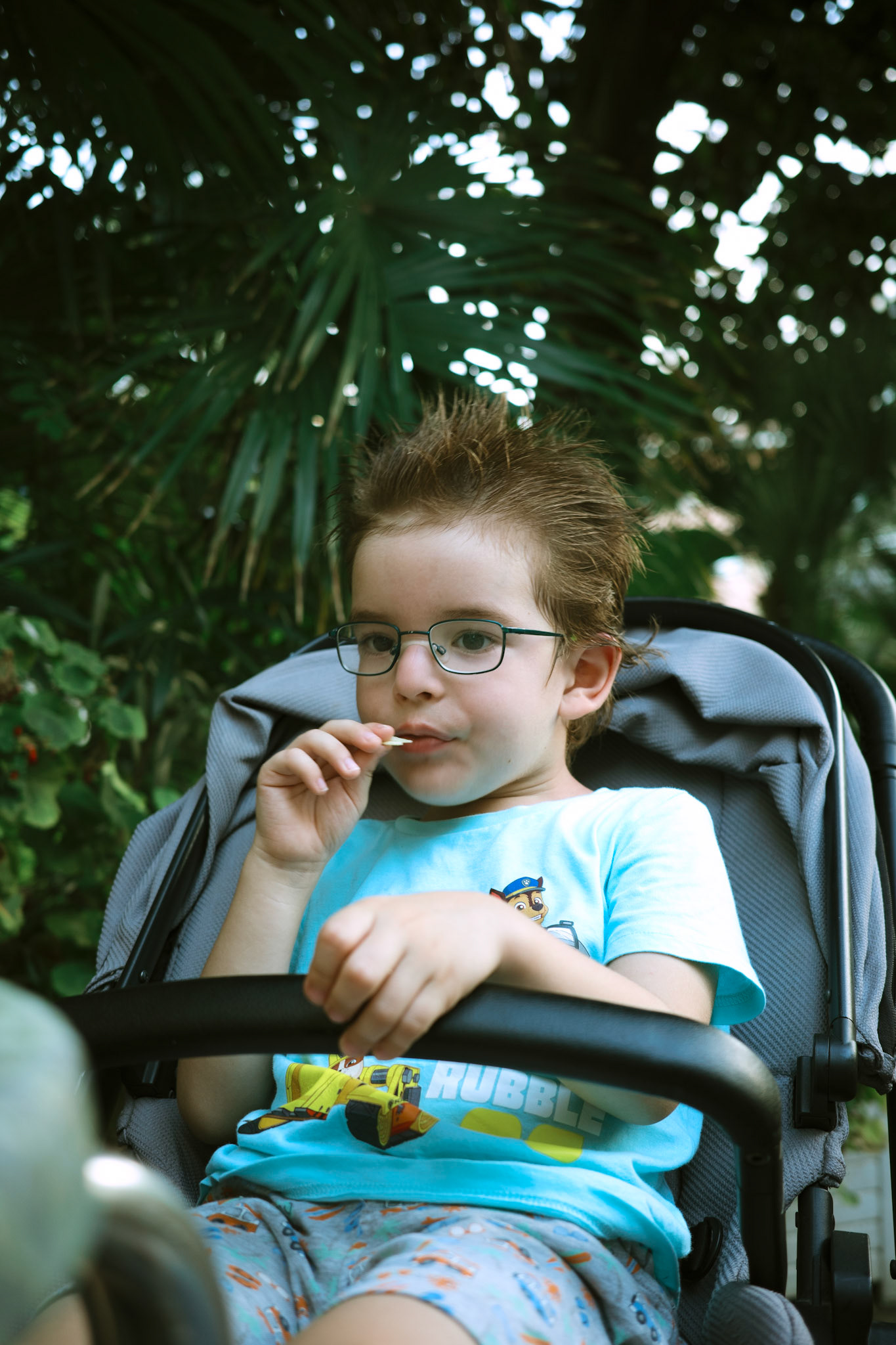 grado / august 2024