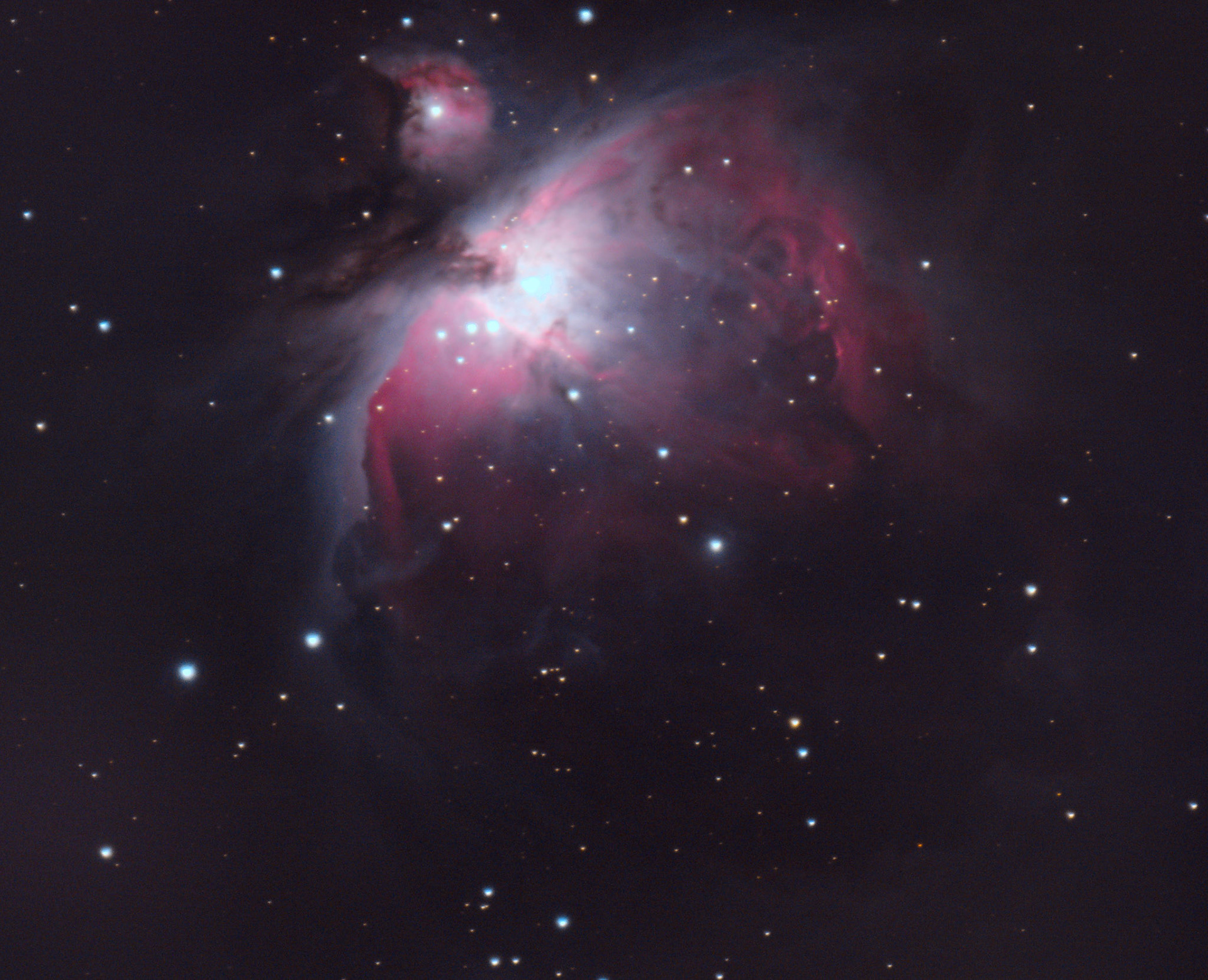 orion nebula / February 2022