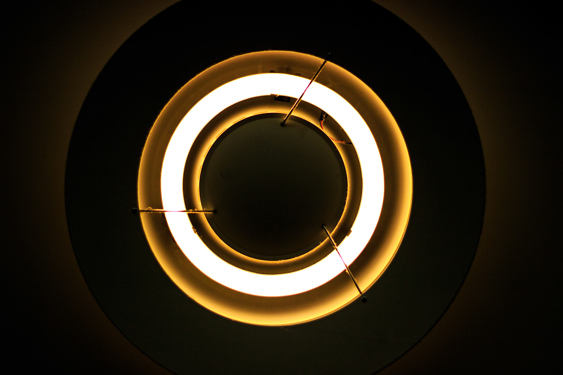 Selina Hammel - Canon EOS 100D / Canon EF 50mm f1.8