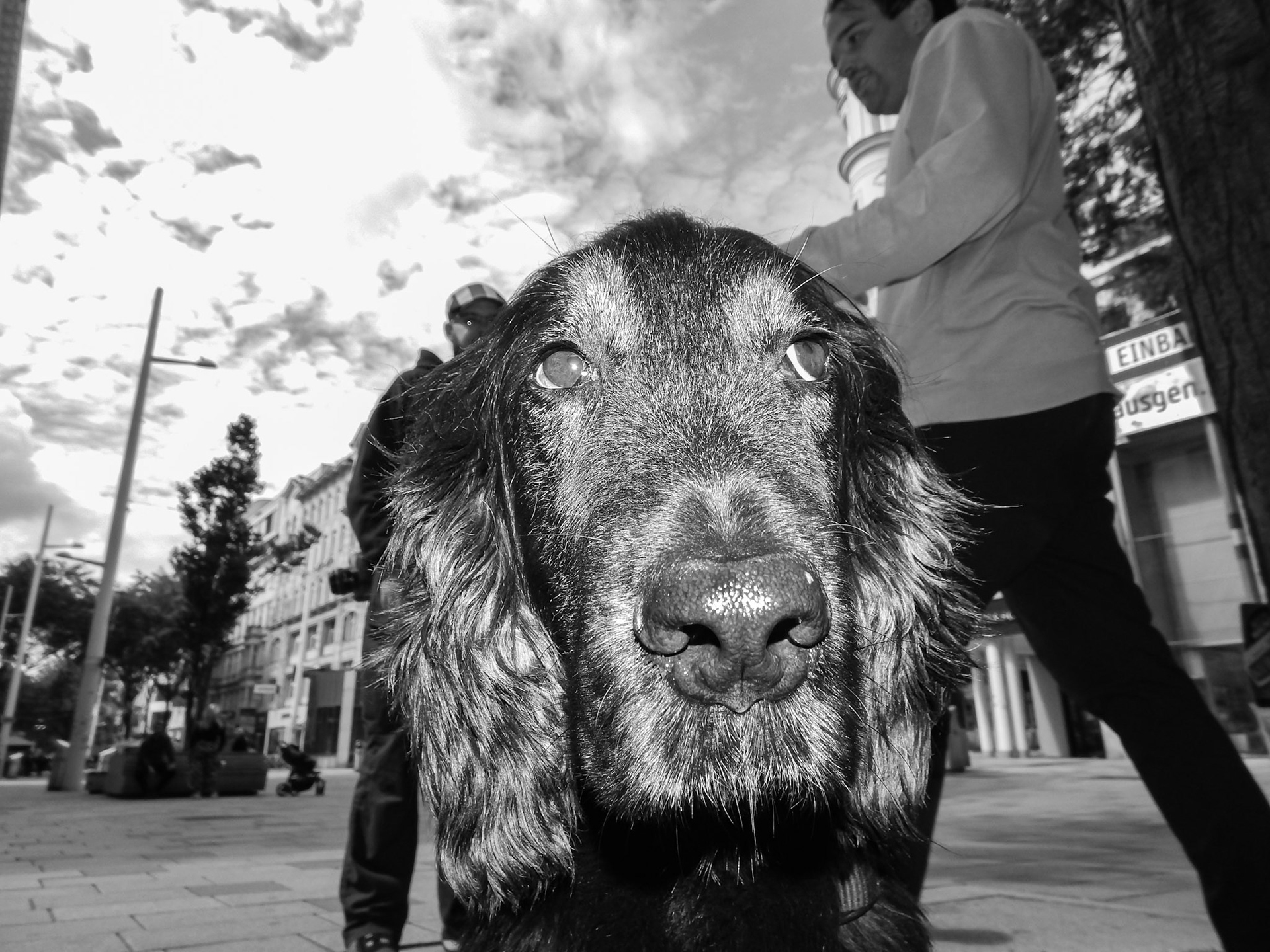 Selina Hammel - Nikon Coolpix L820