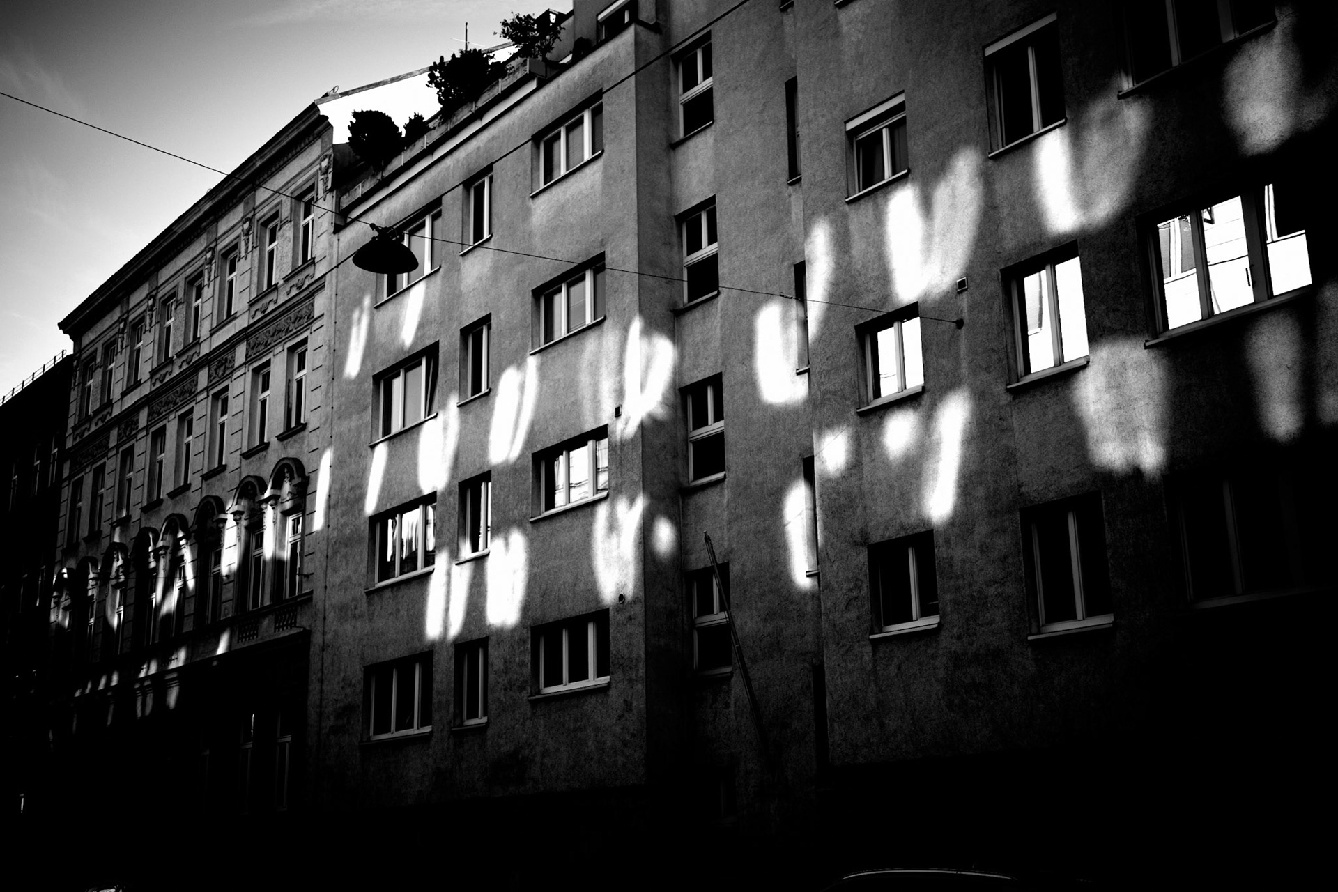 vienna / october 2024