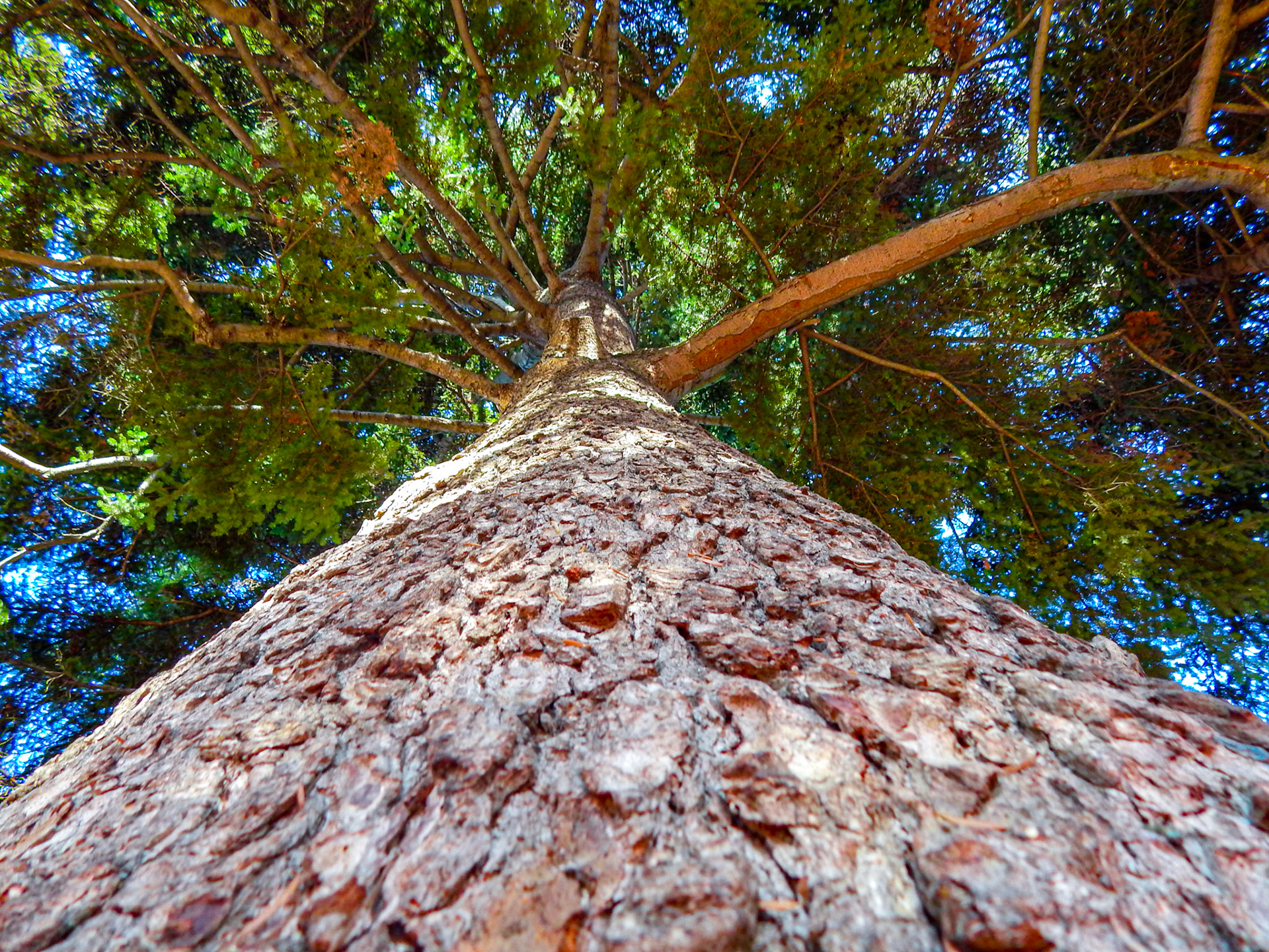 Selina Hammel - Nikon Coolpix L820