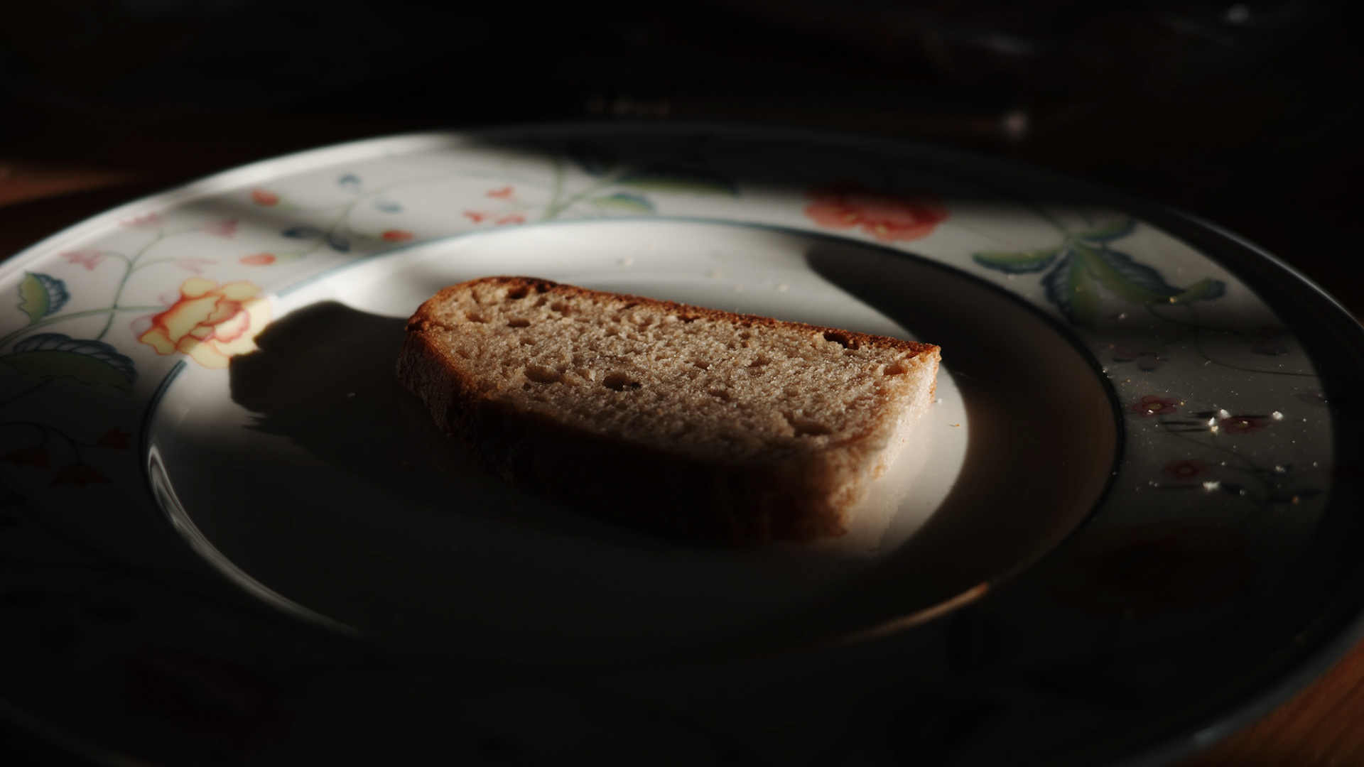 "slice of life" / December 2022