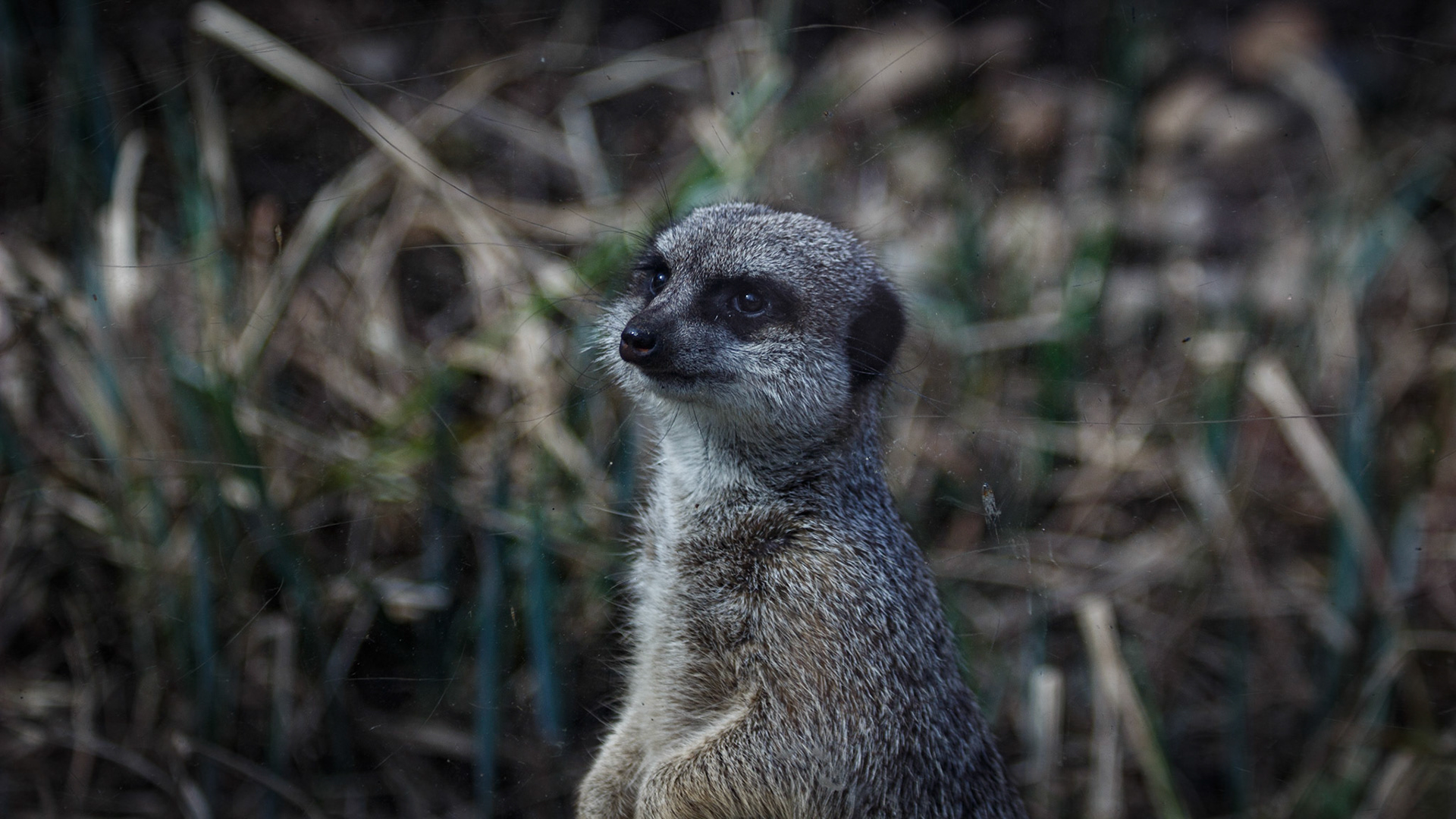 selina hammel - Canon EOS 100D / Canon EF 70-300