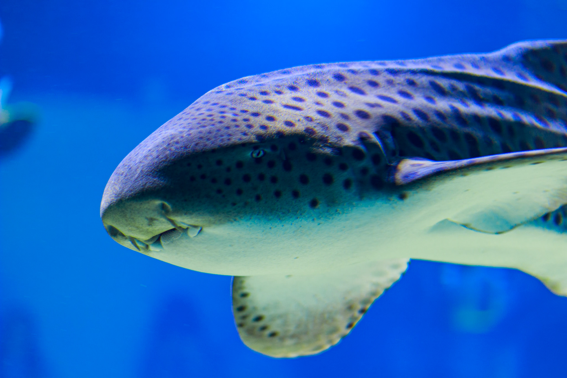 Selina Hammel - Canon EOS 100D / Canon EF 50mm f1.8