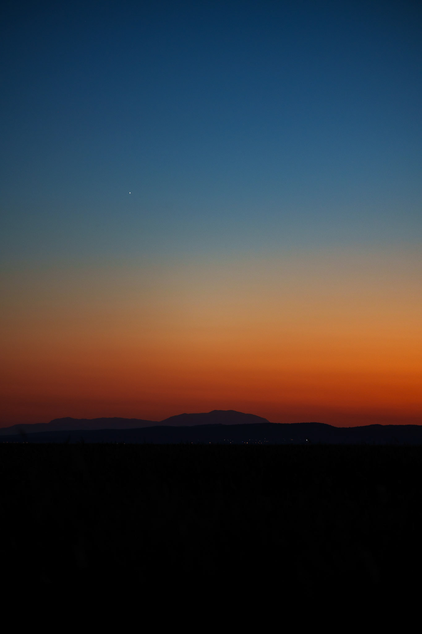 venus / august 2026