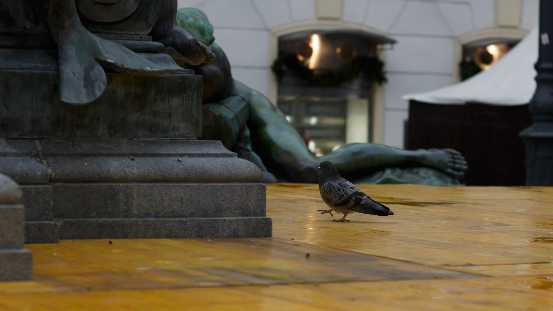 Selina Hammel - Canon EOS 100D / Canon EF 50mm f1.8