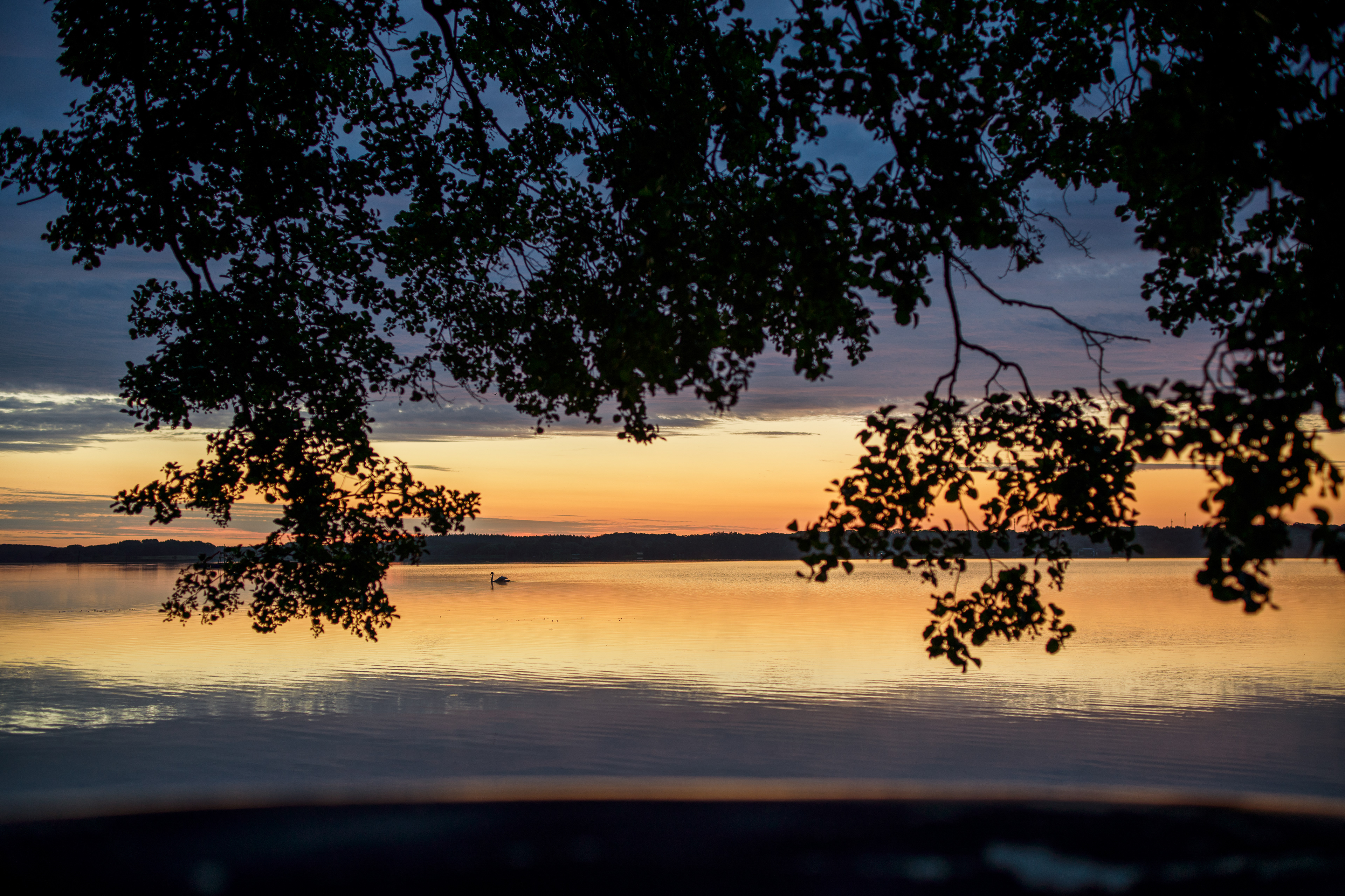 Sonnenaufgang am Plöner See