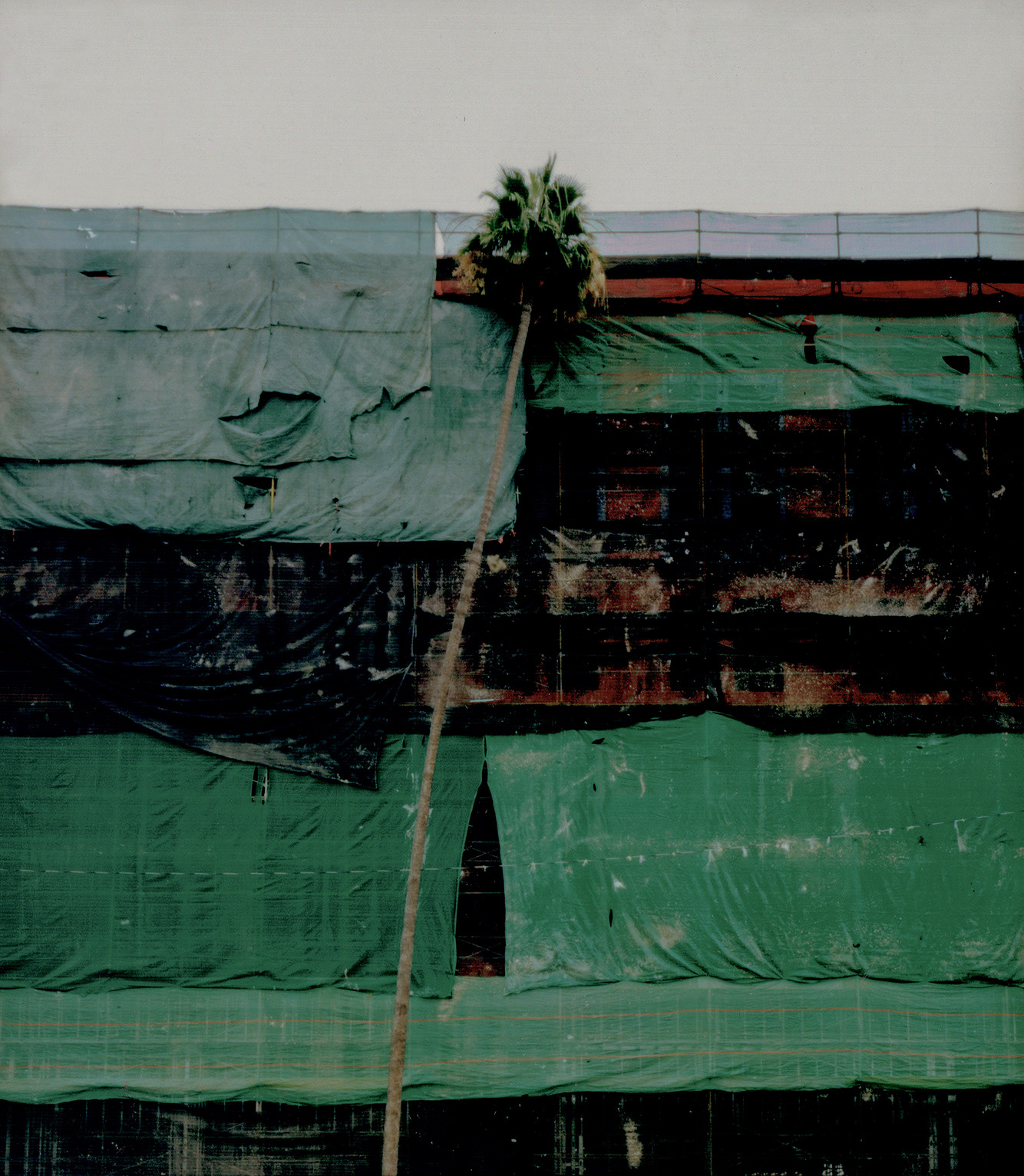 Construction with Palm, 2021, C-print, 24” x 20”