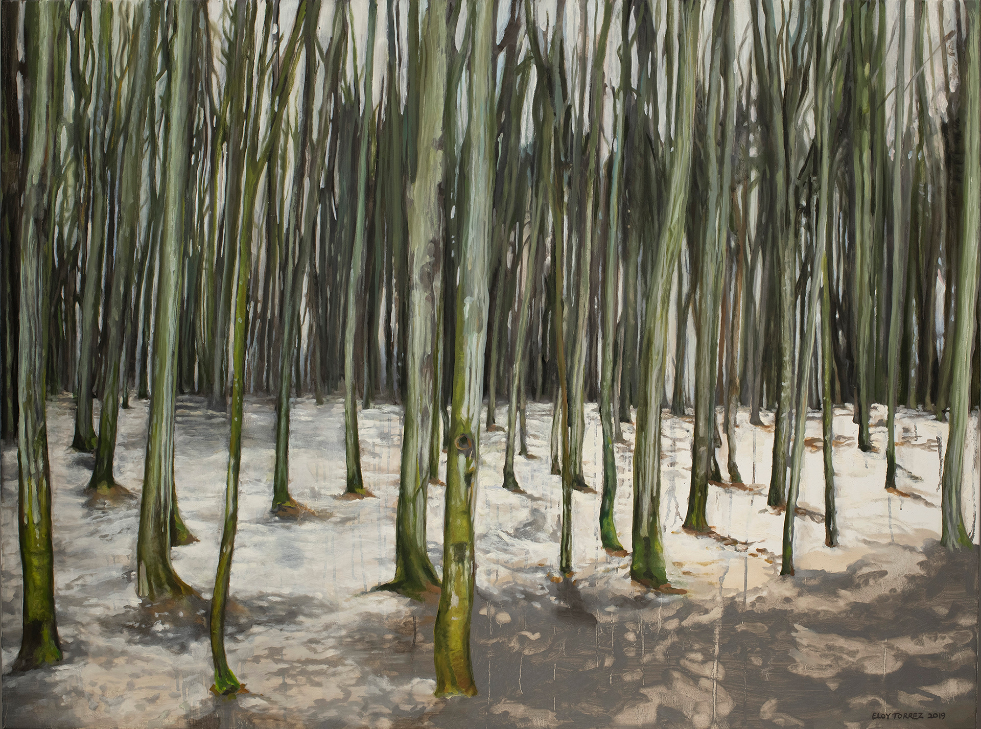 Western Woods, 2019, Oil on canvas, 36” x 48”