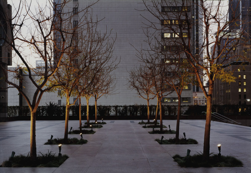 Juliane Backmann, California Plaza, C-Print, 33" x 48"