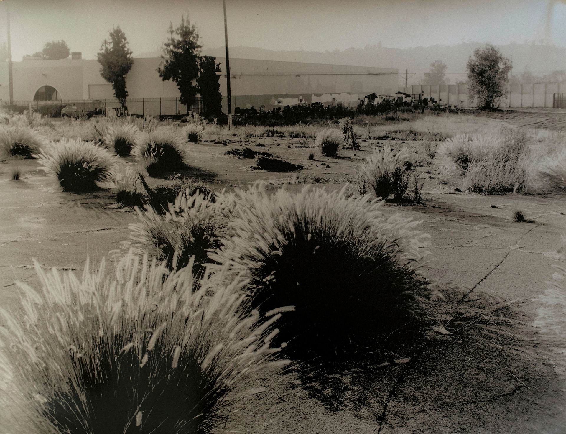 Urban Prairie, 2021, Silver gelatin print, 16” x 20”