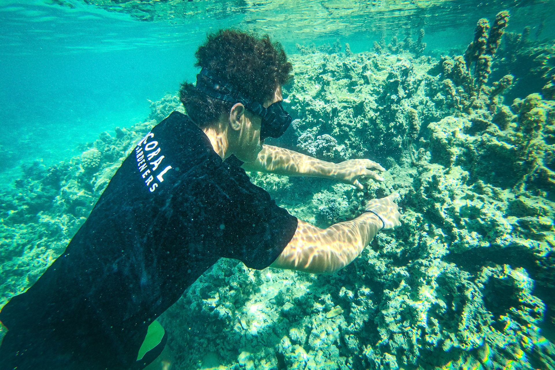 French Polynesia, Moorea, 2019-10-26. NGO Coral Gardener restoring corail in Moorea Island. Photograph by Fred MARIE / Collectif DR.Polynésie Française, Moorea, 2019-10-26. Des membres de l association Coral Gardener replantent du corail sur l ile de Moorea. Photographie de Fred MARIE / Collectif DR.