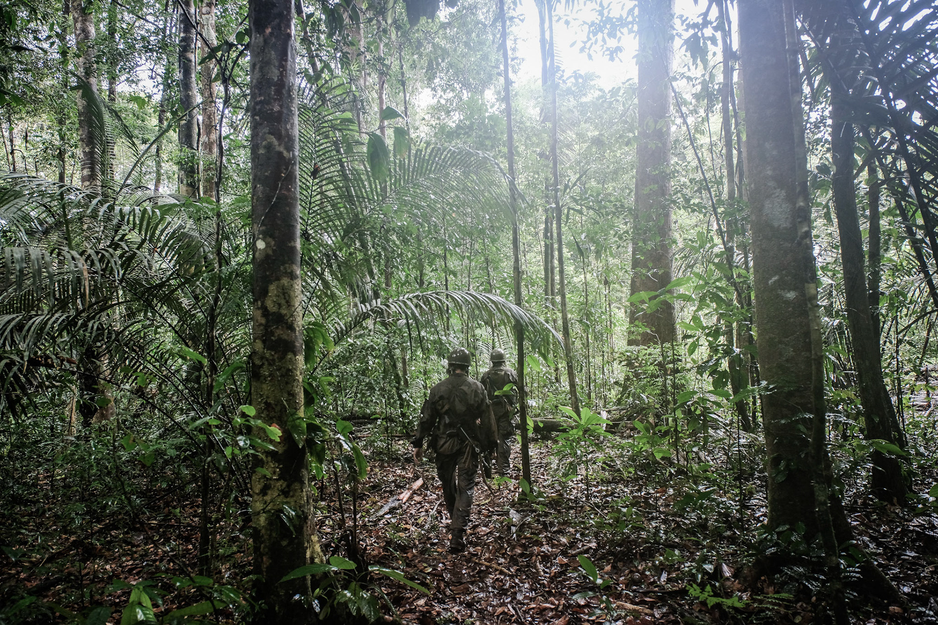 France, Regina, 2018-12-13. In French Guyana, the Green Berets of the Foreign Legion train soldiers in combat and survival techniques in the jungle at CEFE (Equatorial Forest Training Center). Some internships can last 6 weeks and are some of the most difficult in the world. Photograph by Fred MARIE / Collectif DR. France, Regina, 2018-12-13. En Guyane francaise, les berets verts de la Legion Etrangere forment les soldats au combat et aux techniques de survie dans la jungle au sein du CEFE (centre d entrainement en forêt équatoriale). Certains stages peuvent durer 6 semaines et sont parmi les plus difficiles au monde. Photographie de Fred MARIE / Collectif DR.