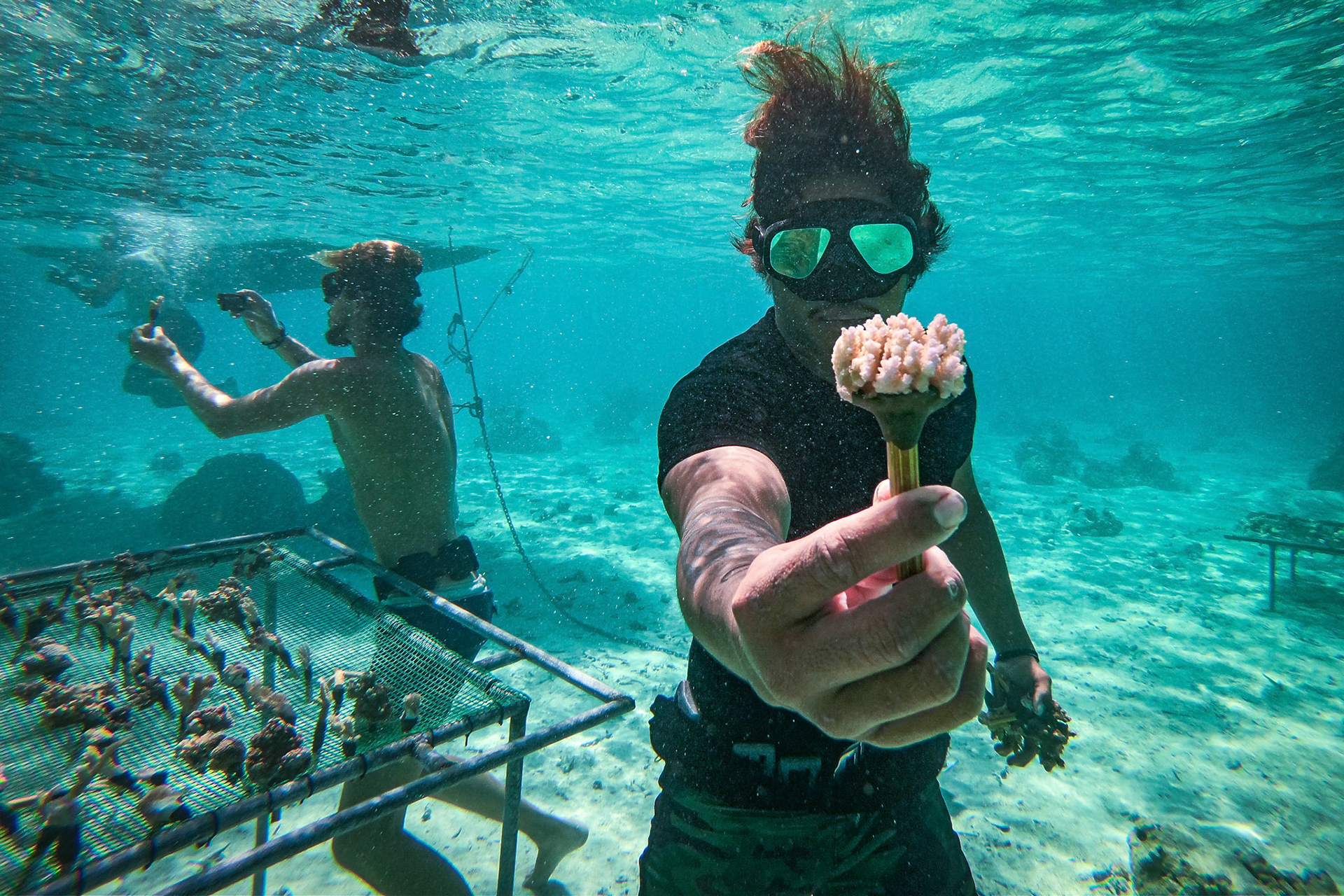 French Polynesia, Moorea, 2019-10-26. NGO Coral Gardener restoring corail in Moorea Island. Photograph by Fred MARIE / Collectif DR.Polynésie Française, Moorea, 2019-10-26. Des membres de l association Coral Gardener replantent du corail sur l ile de Moorea. Photographie de Fred MARIE / Collectif DR.
