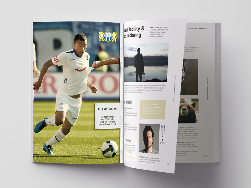 Werbung für FCZ Kampagne von Texter Dieter Boller