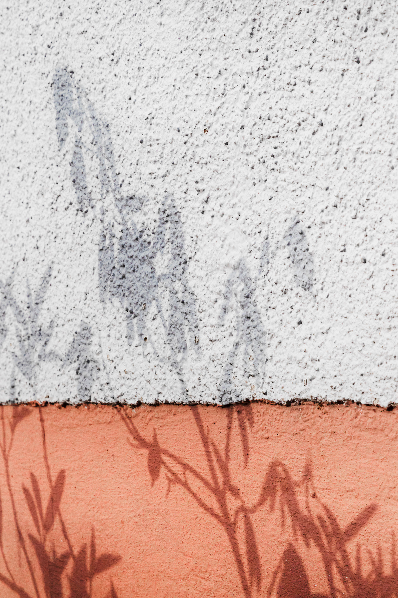 Shadow and Orange, Color and Shapes, Baden-Würtemberg, 2021