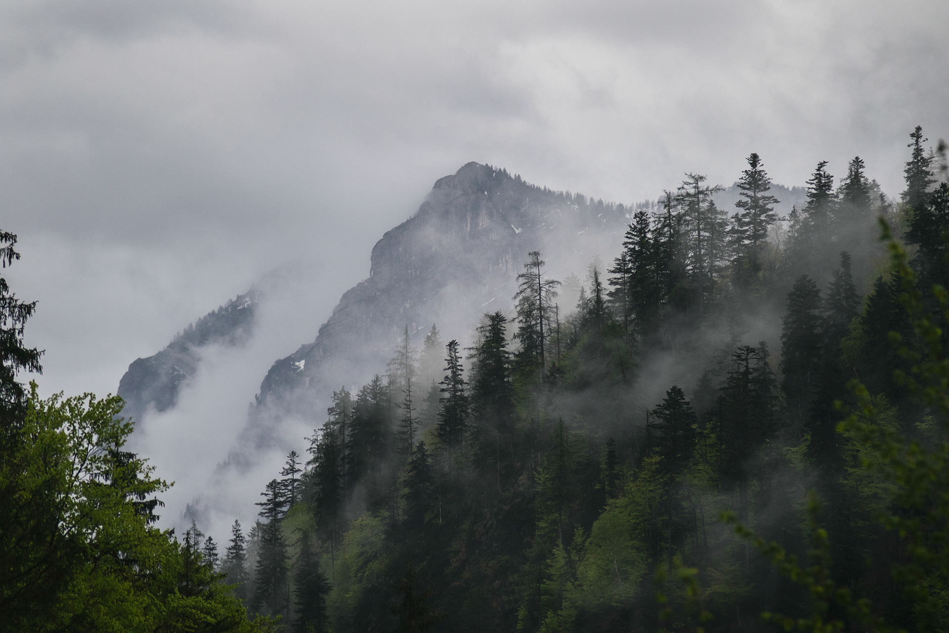 Weißbachschlucht 07, Bayern, 2021