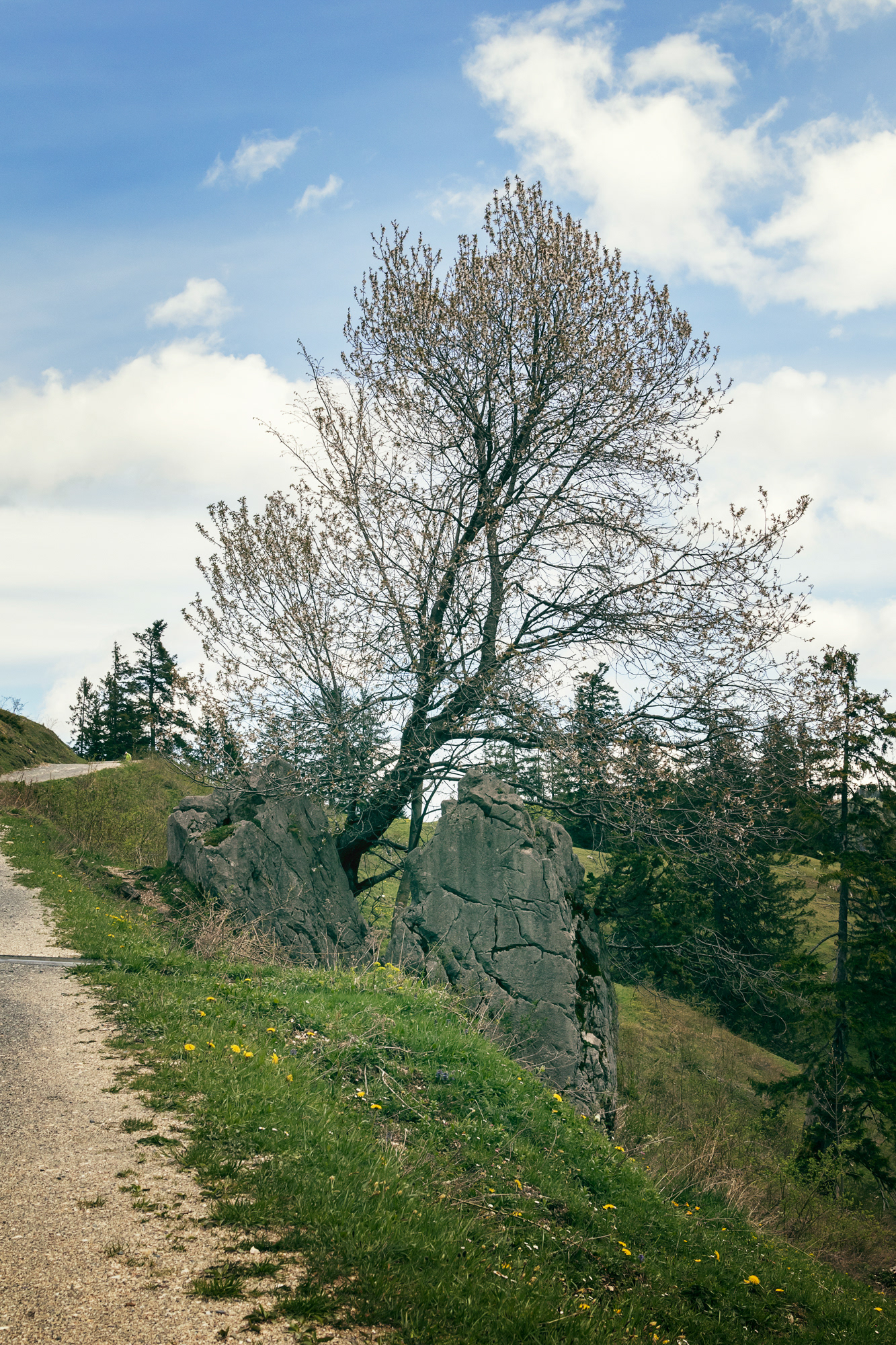 Am Hochfelln 01, Bayern, 2021