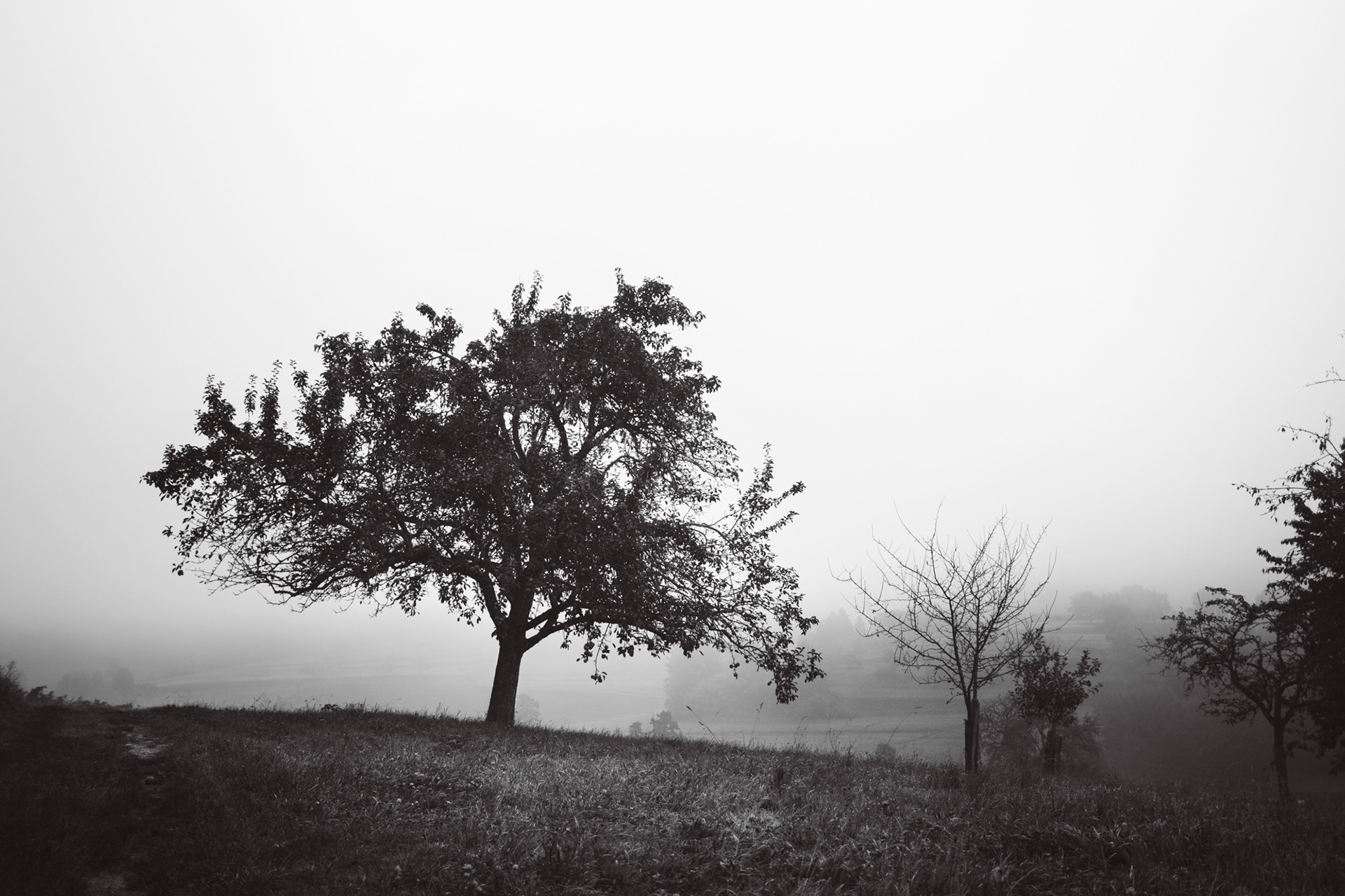 Mühlebächle XVIII, Baden-Würtemberg, 2021