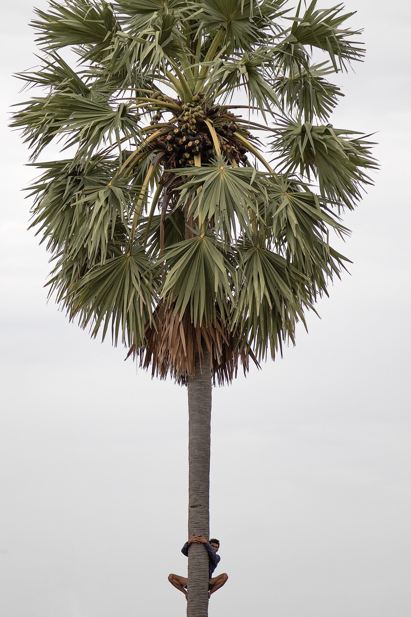 Sports, Phetshaburi, 2018