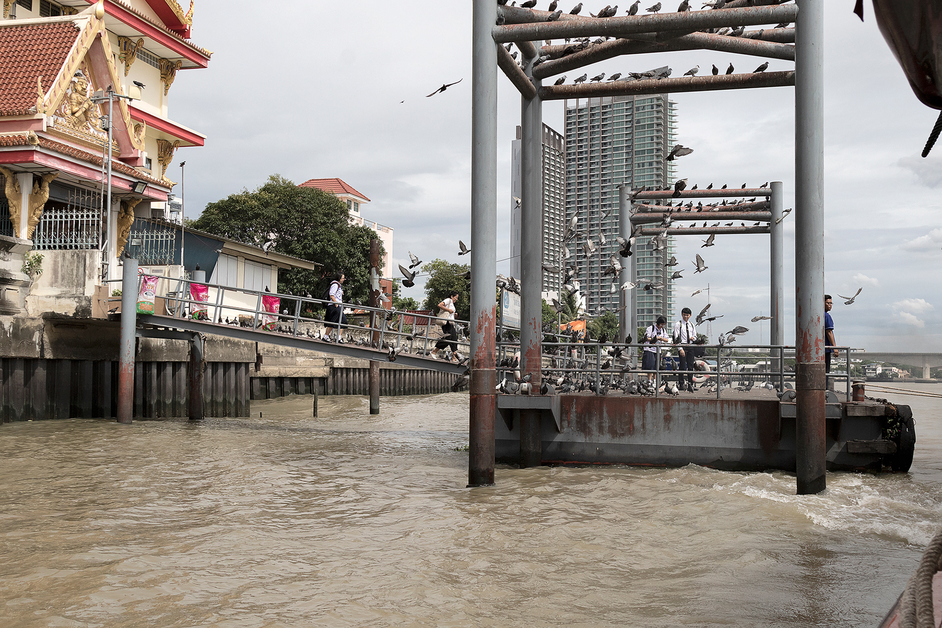 River View III, Bangkok, 2018