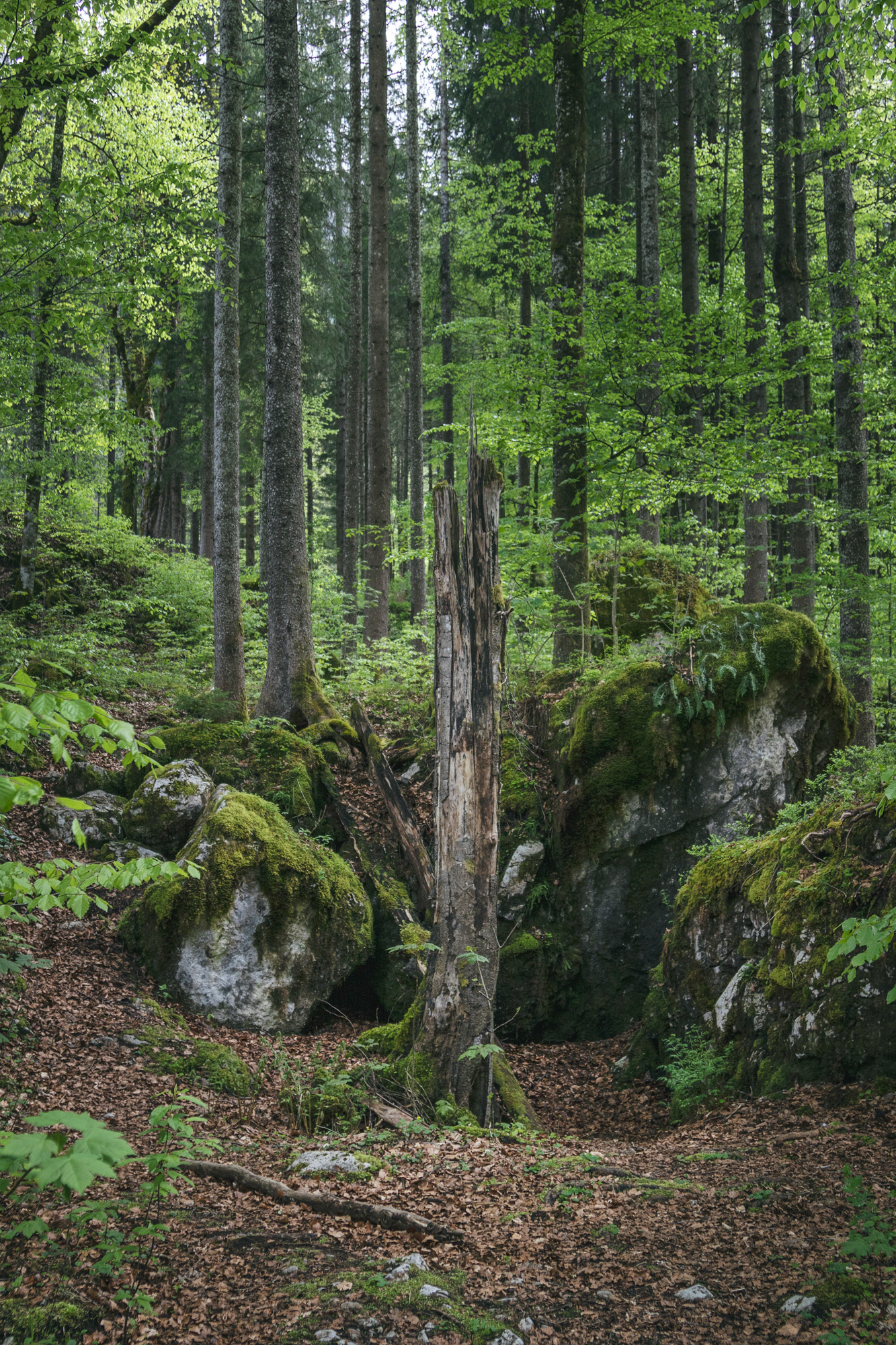 Am Hintersee 10, Bayern, 2021